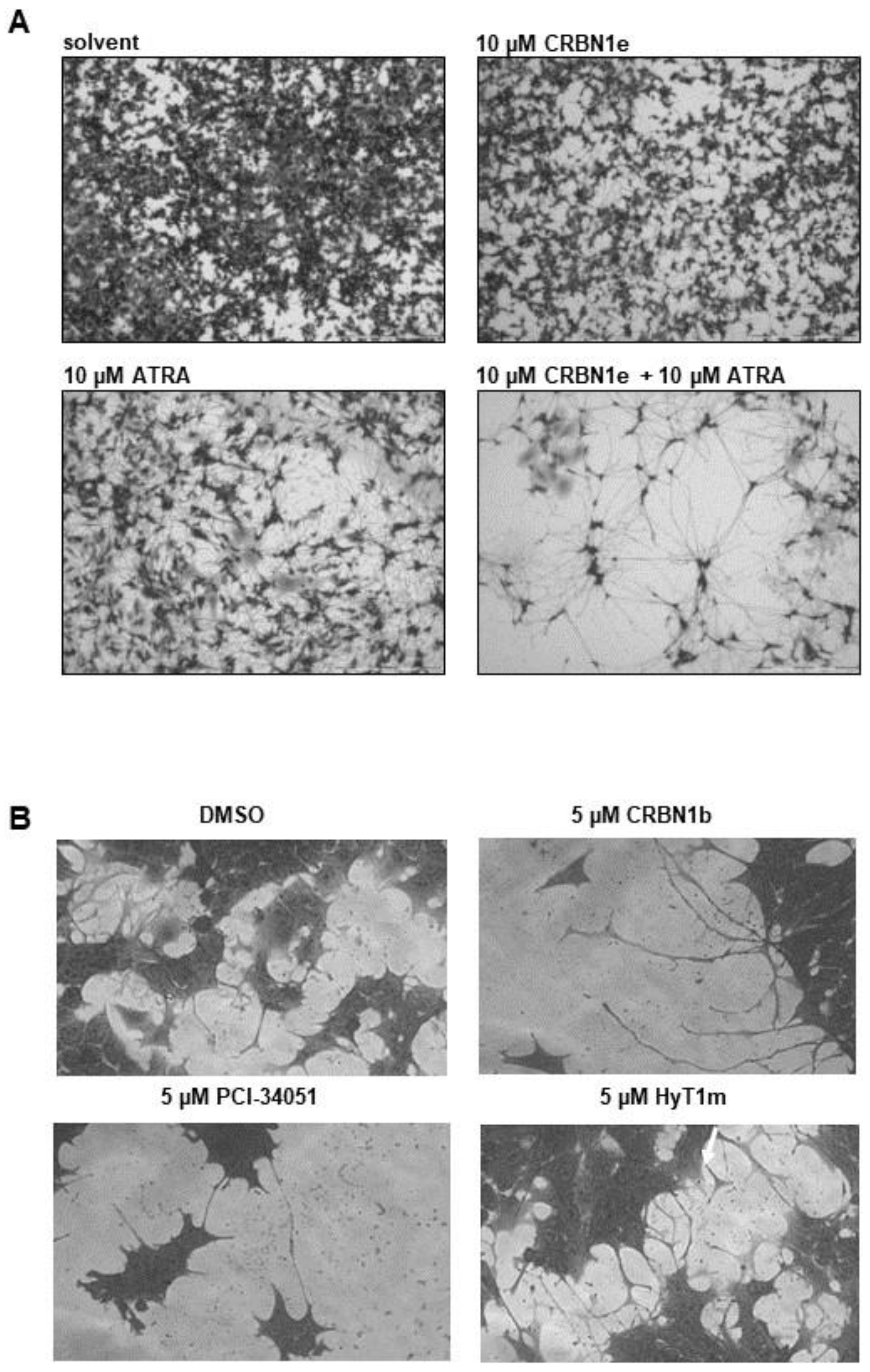 Ijms 23 07535 g007 550