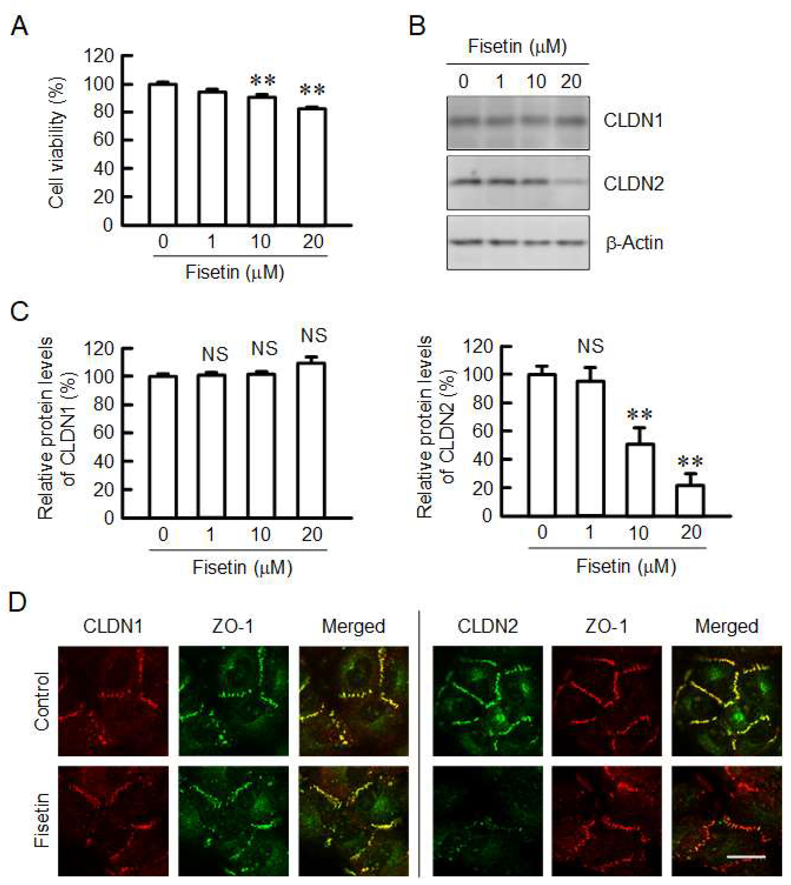 Ijms 23 07536 g001 550