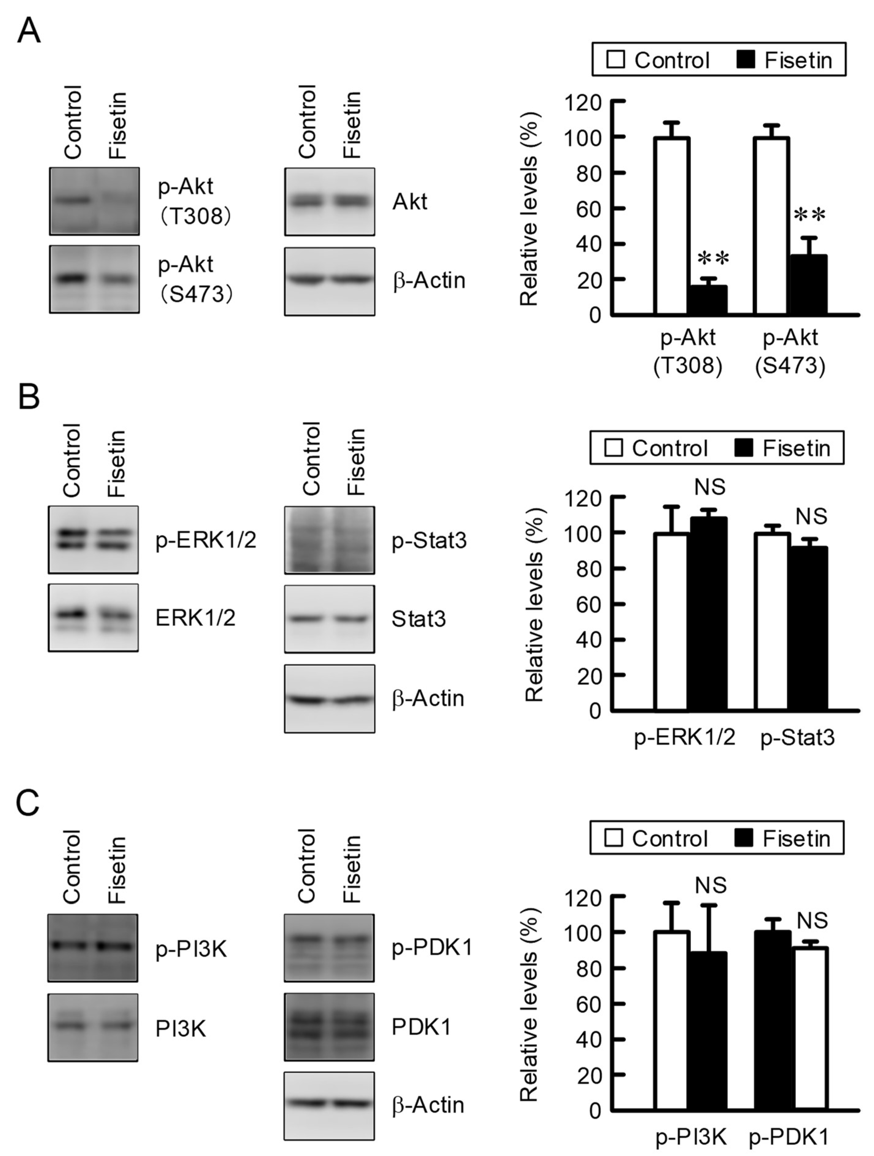Ijms 23 07536 g002 550