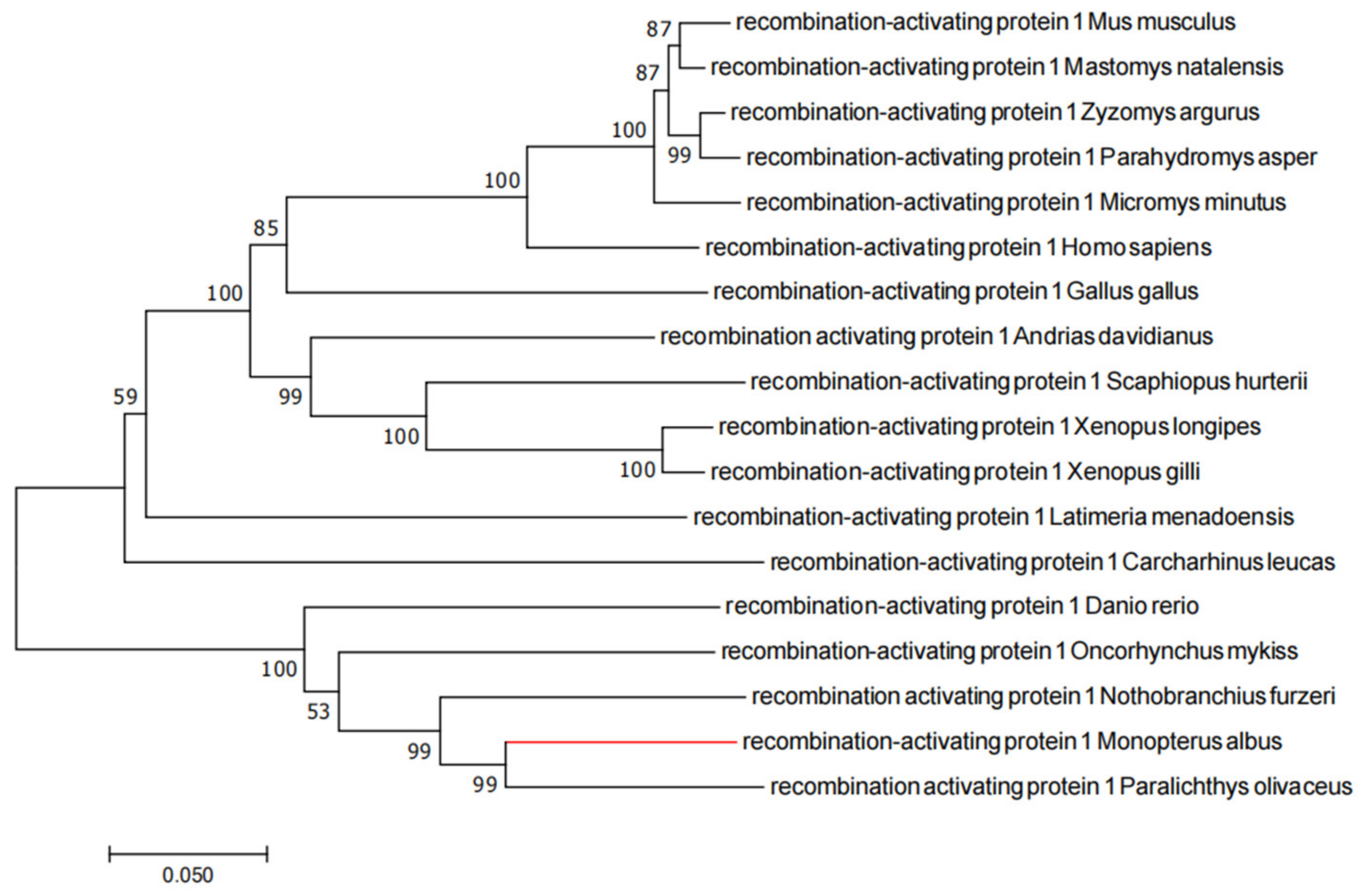 Ijms 23 07546 g001 550