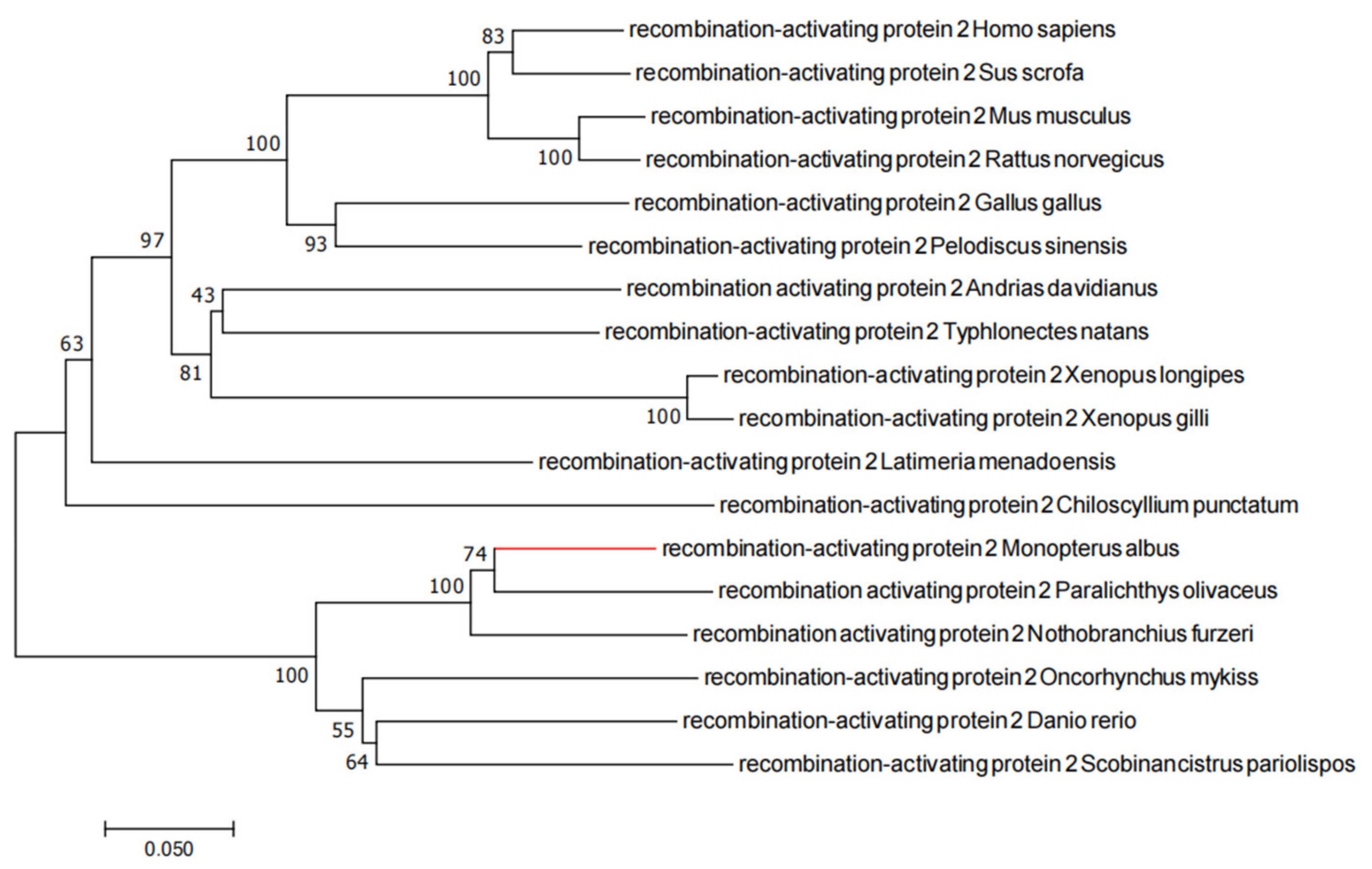 Ijms 23 07546 g002 550