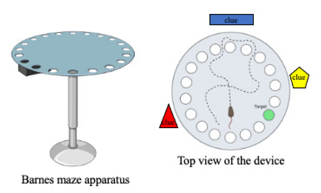 Ijms 23 07550 g008 Ijms 23 07550 g008