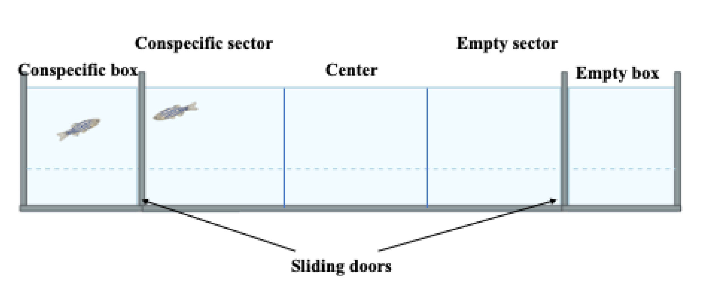 Ijms 23 07550 g009 Ijms 23 07550 g009
