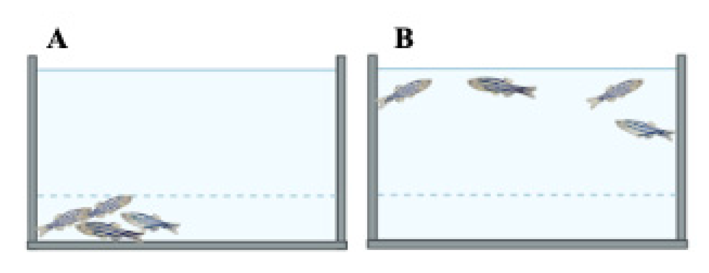 Ijms 23 07550 g010 Ijms 23 07550 g010