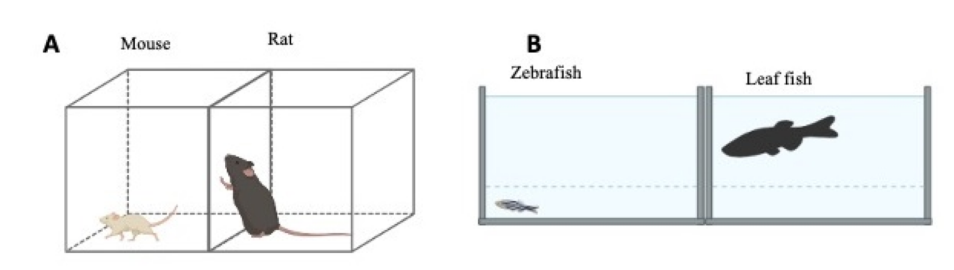 Ijms 23 07550 g015 Ijms 23 07550 g015