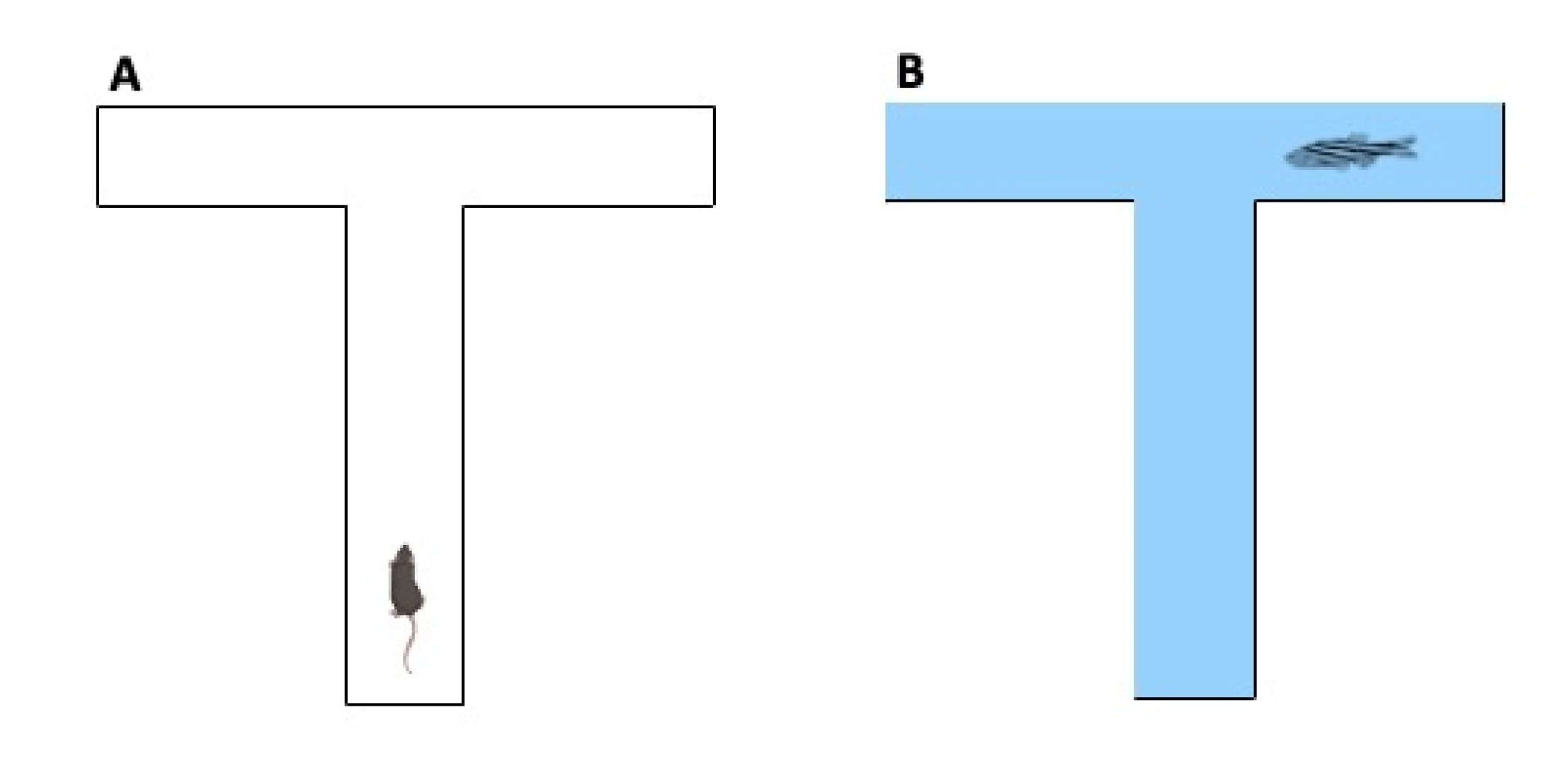 Ijms 23 07550 g016 Ijms 23 07550 g016