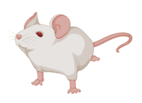 Ijms 23 07550 i001 Ijms 23 07550 i001