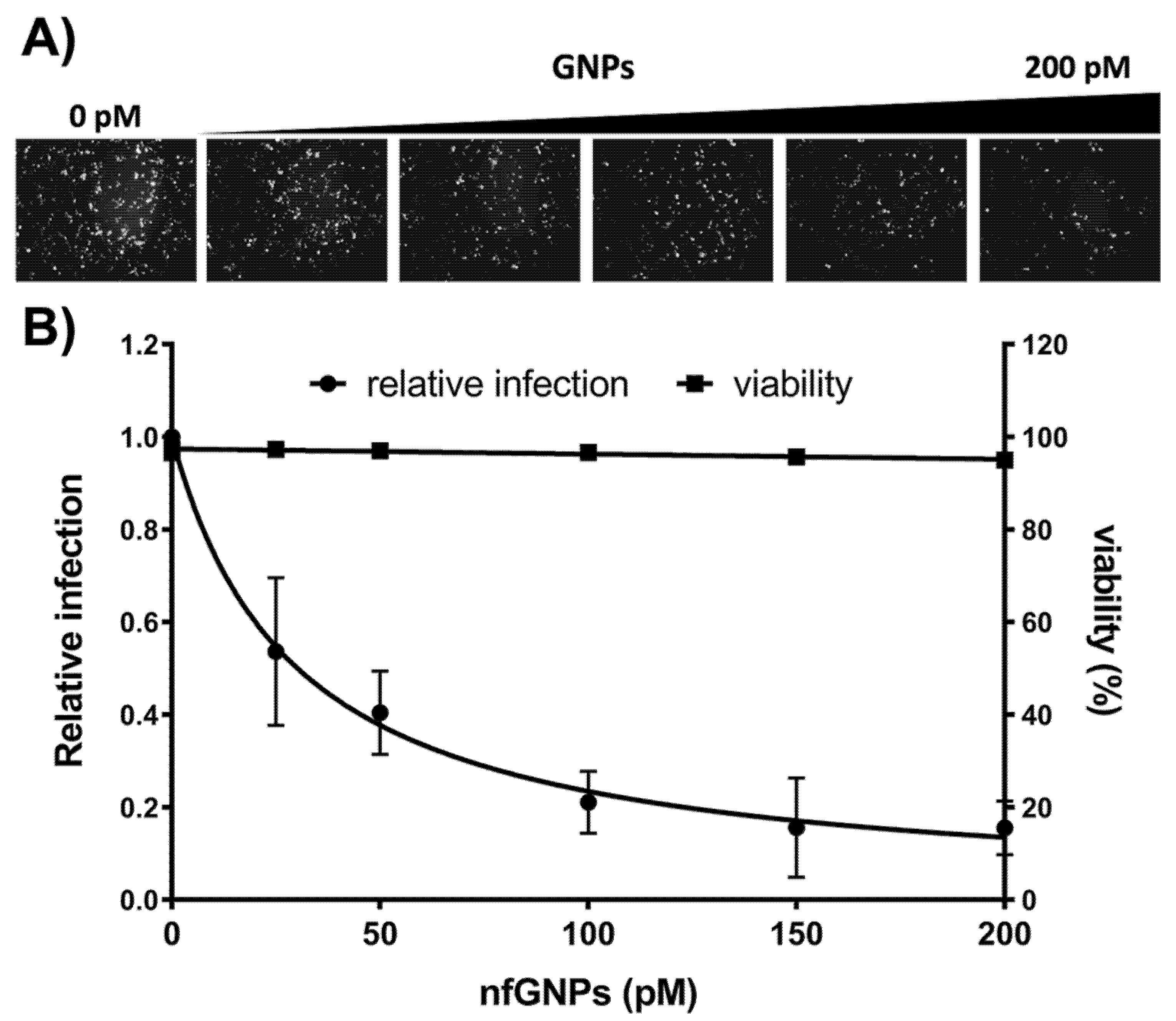Ijms 23 07552 g005 550