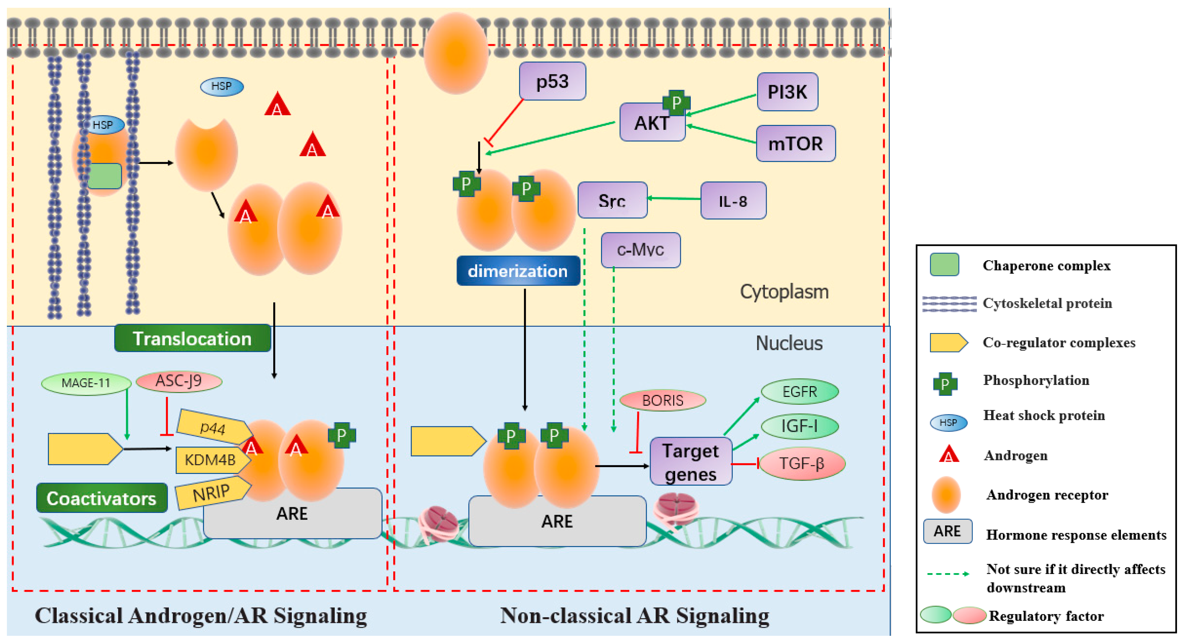 Ijms 23 07556 g002 Ijms 23 07556 g002