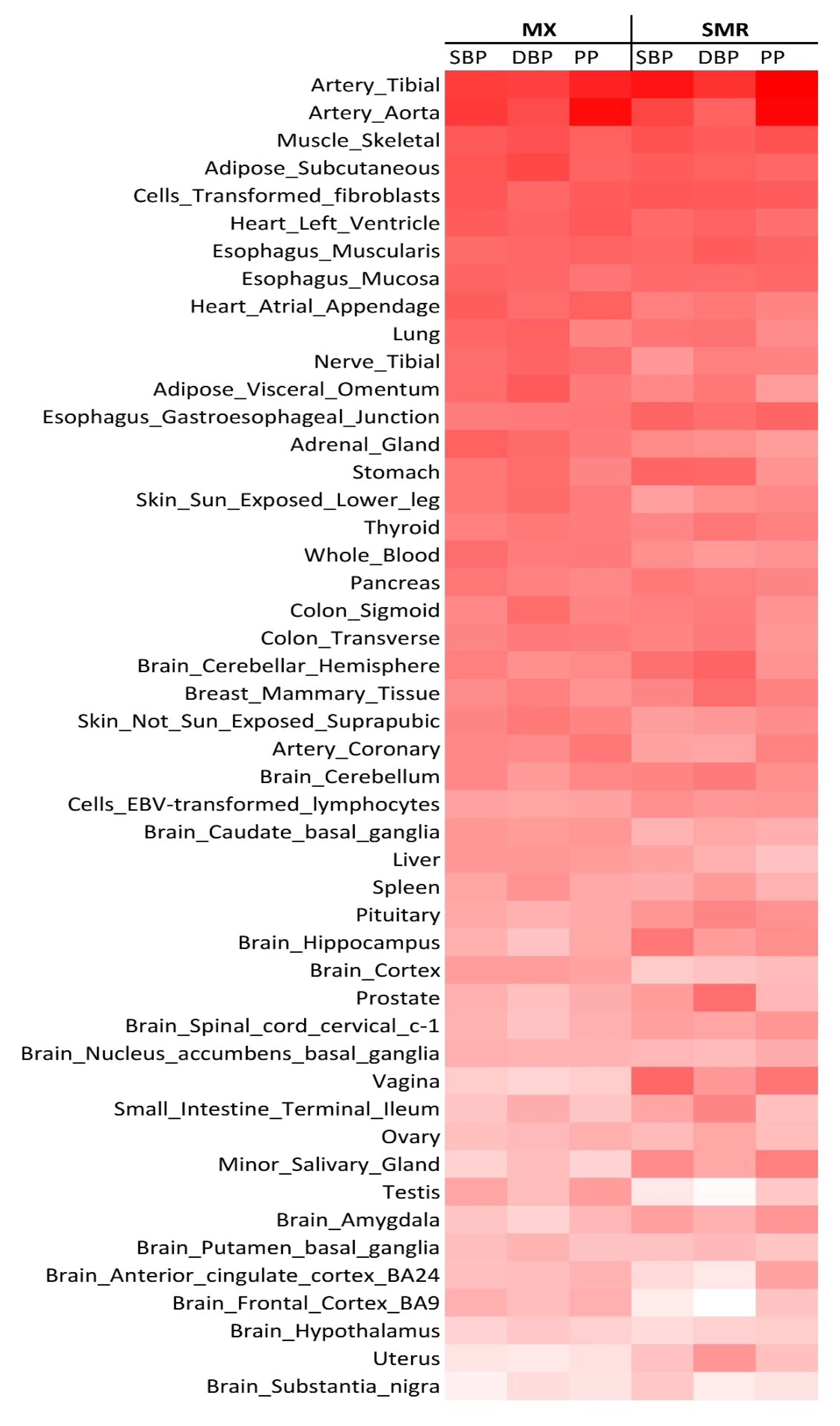 Ijms 23 07557 g003 Ijms 23 07557 g003