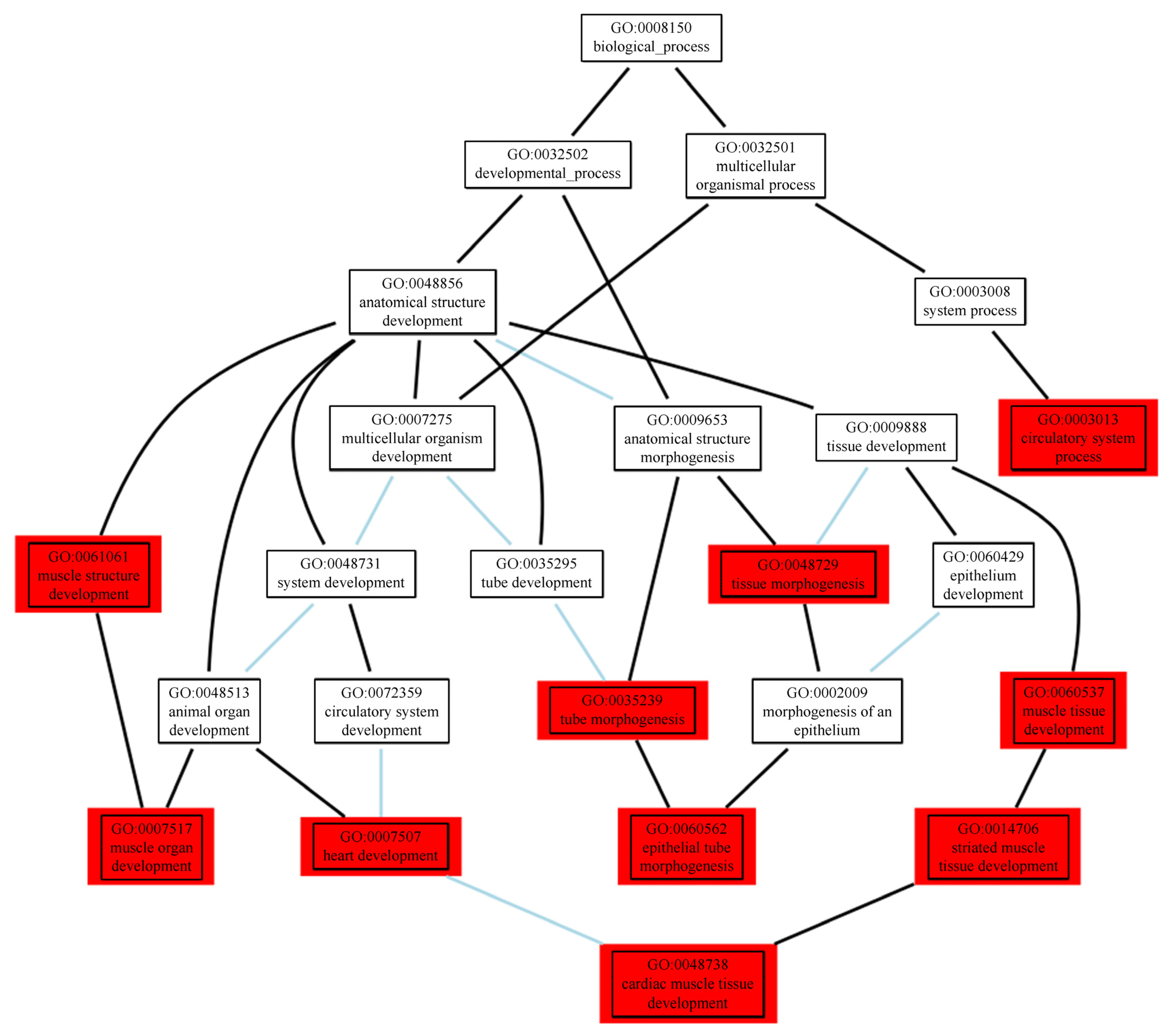 Ijms 23 07557 g004 Ijms 23 07557 g004