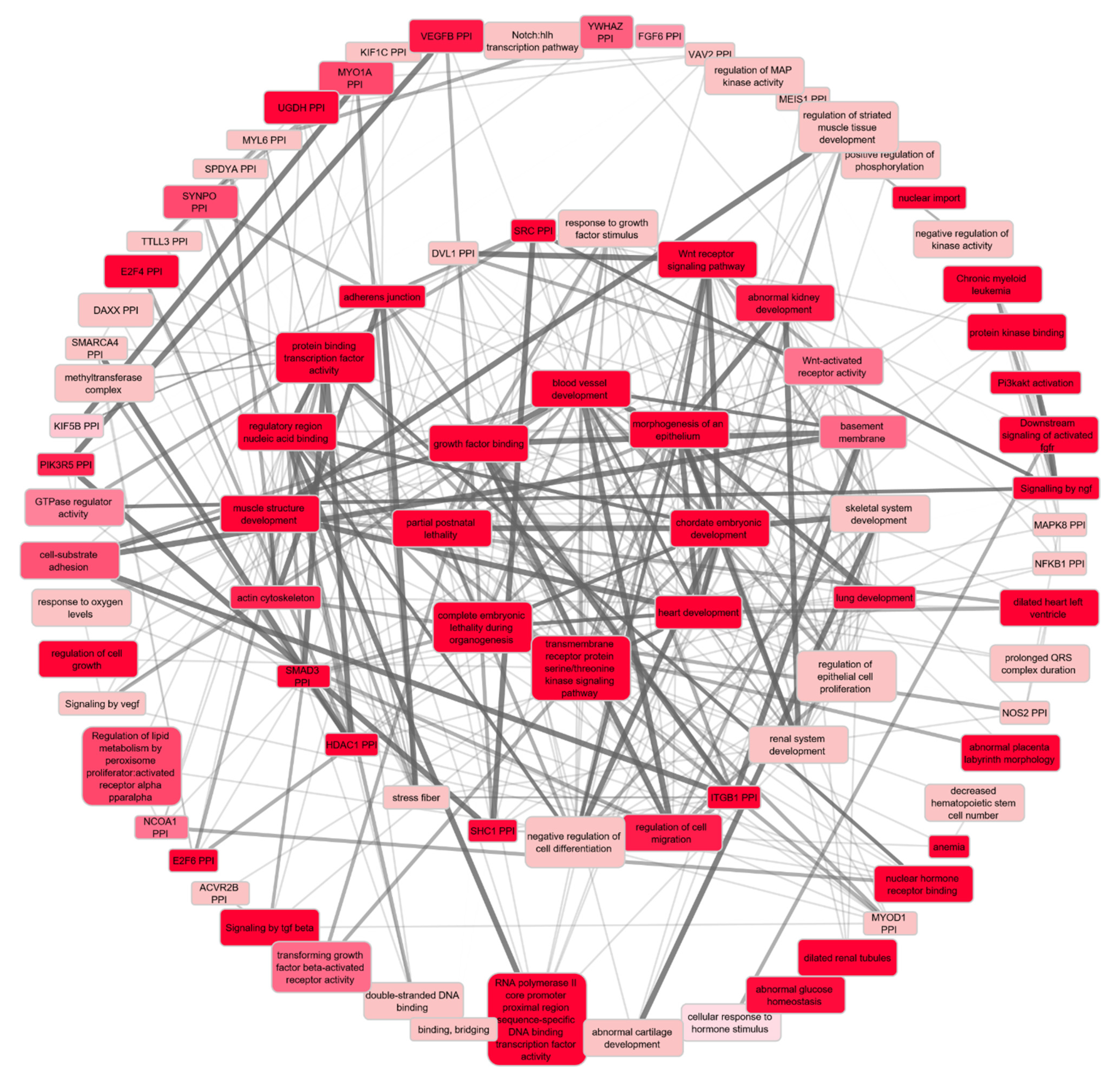 Ijms 23 07557 g005 Ijms 23 07557 g005