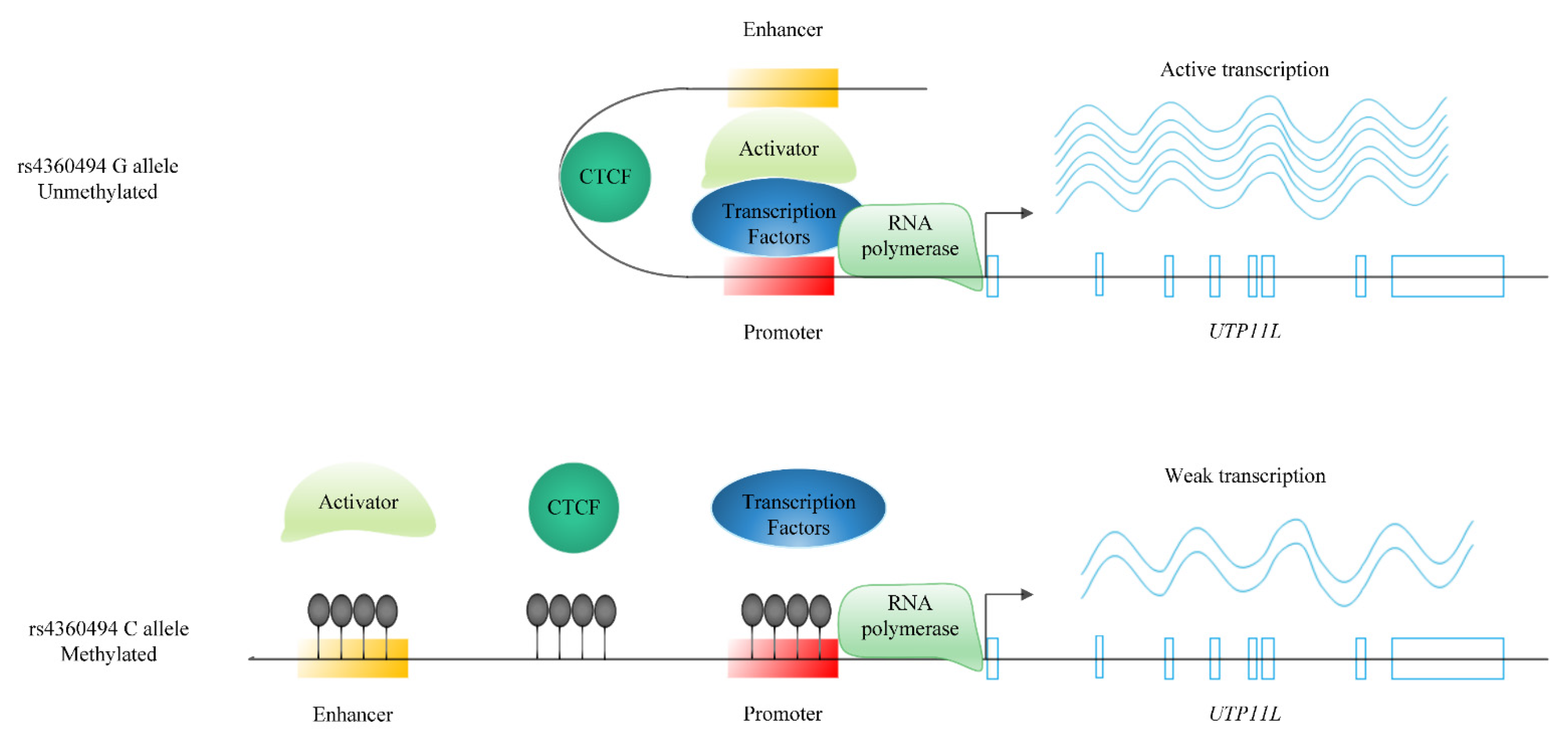 Ijms 23 07557 g007 Ijms 23 07557 g007