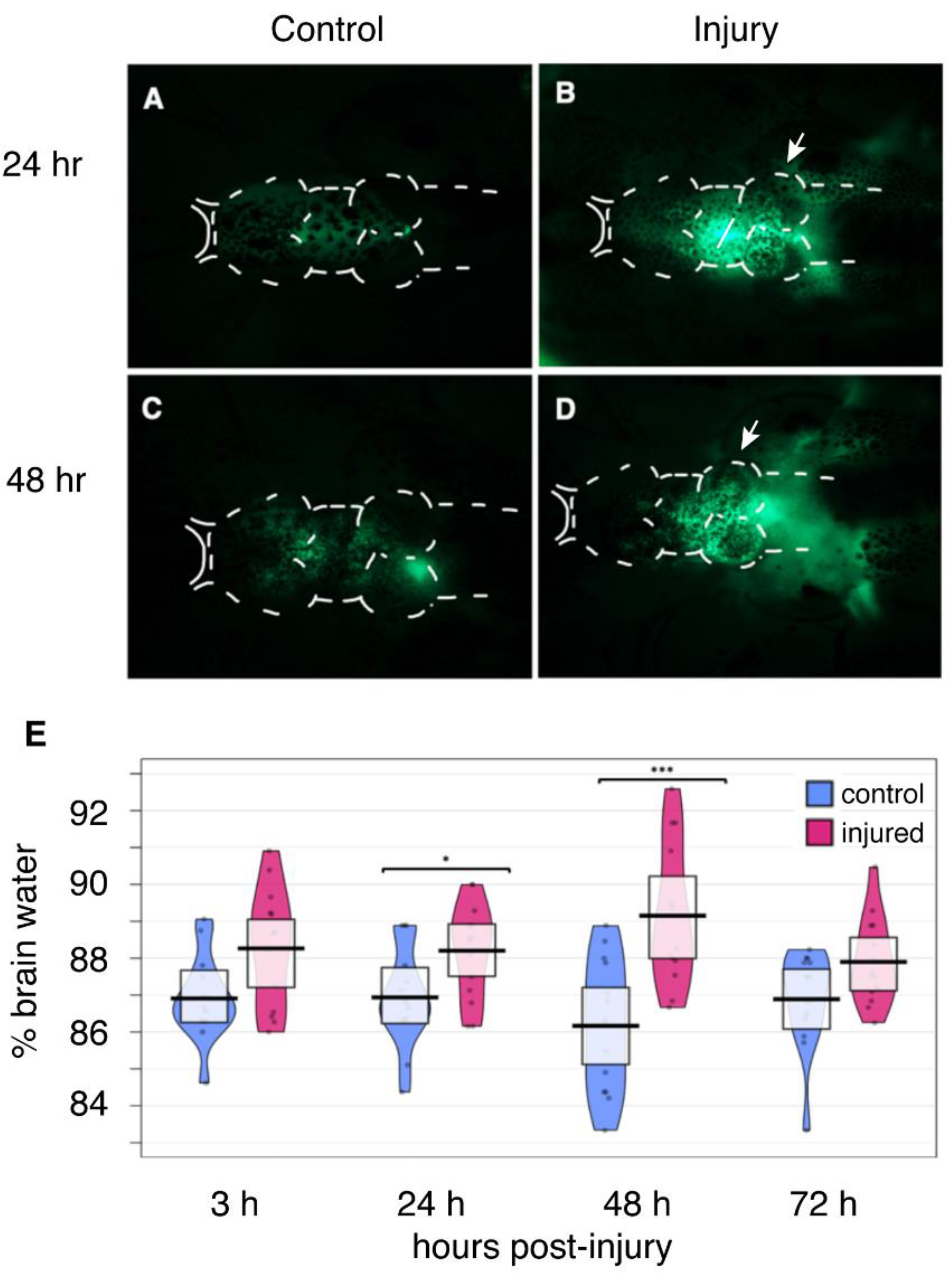 Ijms 23 07578 g001 550