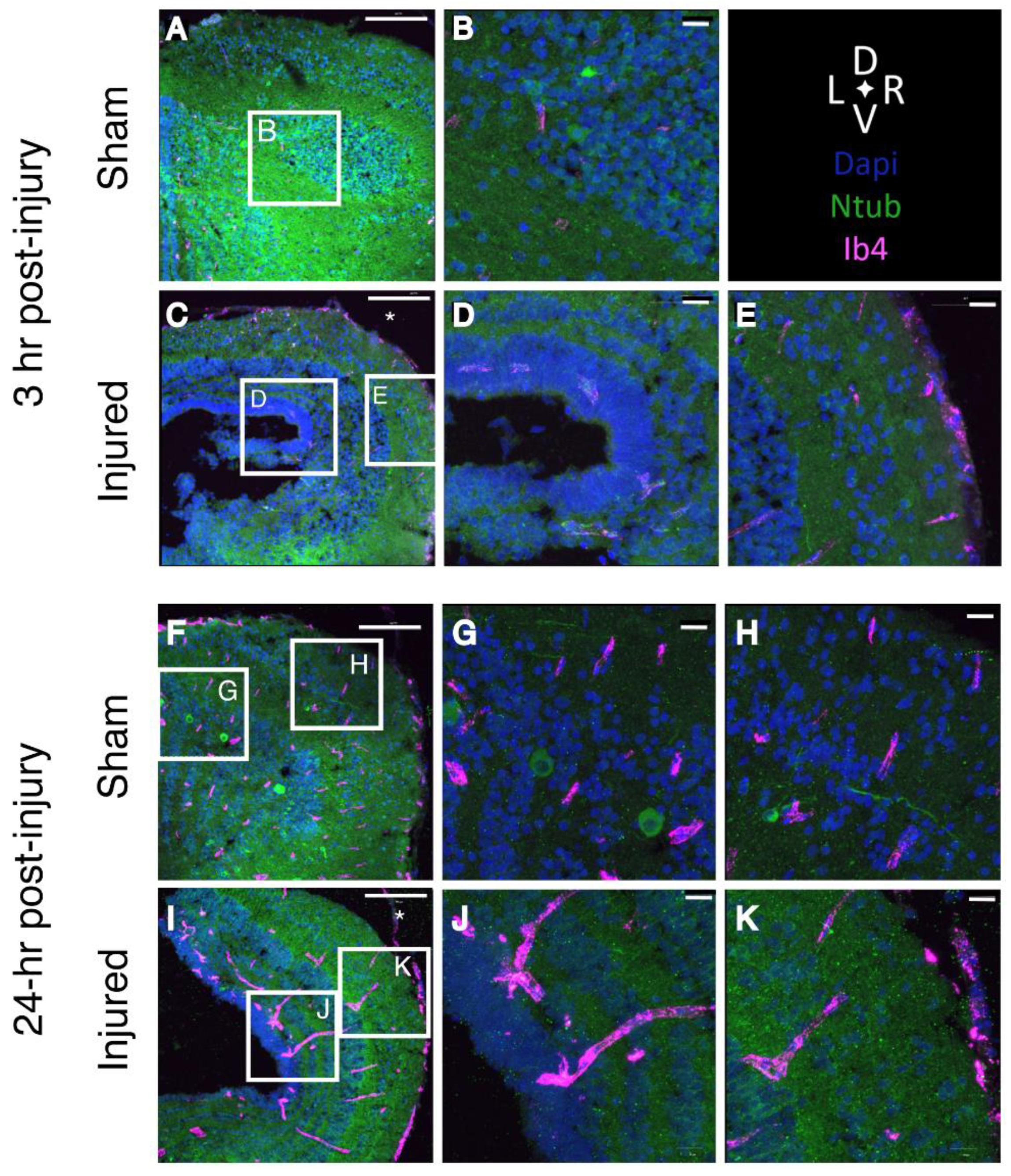 Ijms 23 07578 g004 550