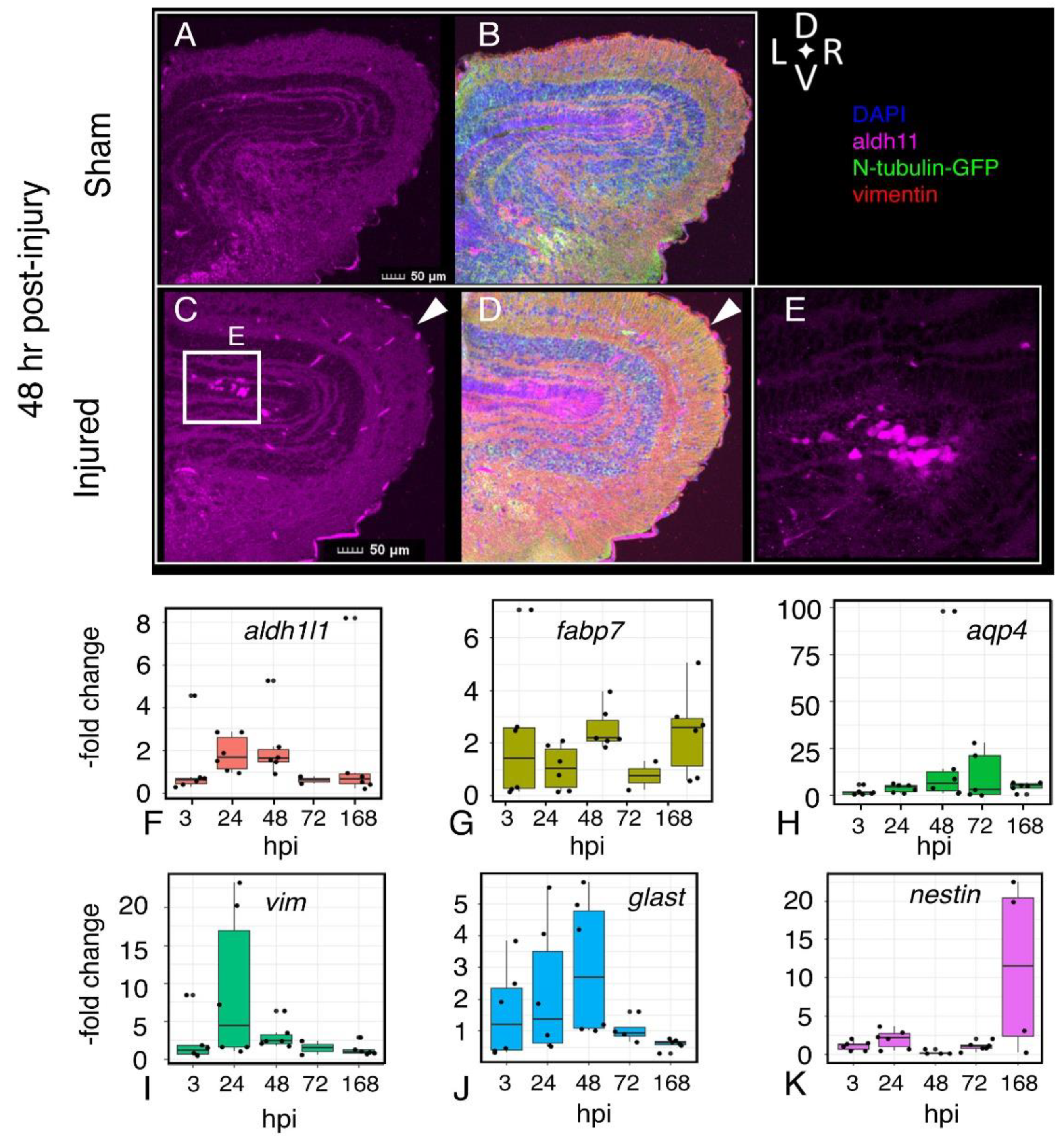 Ijms 23 07578 g006 550