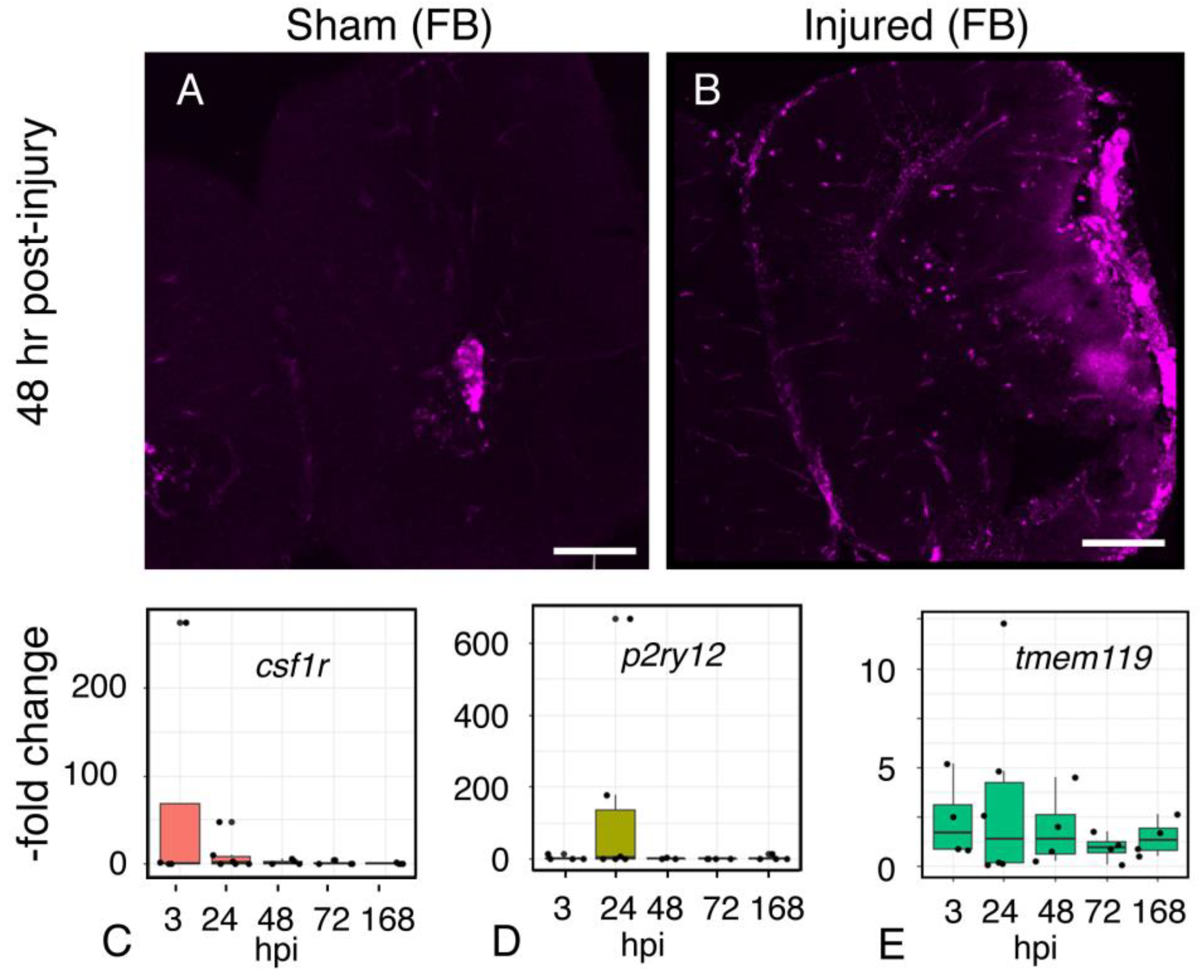 Ijms 23 07578 g008 550