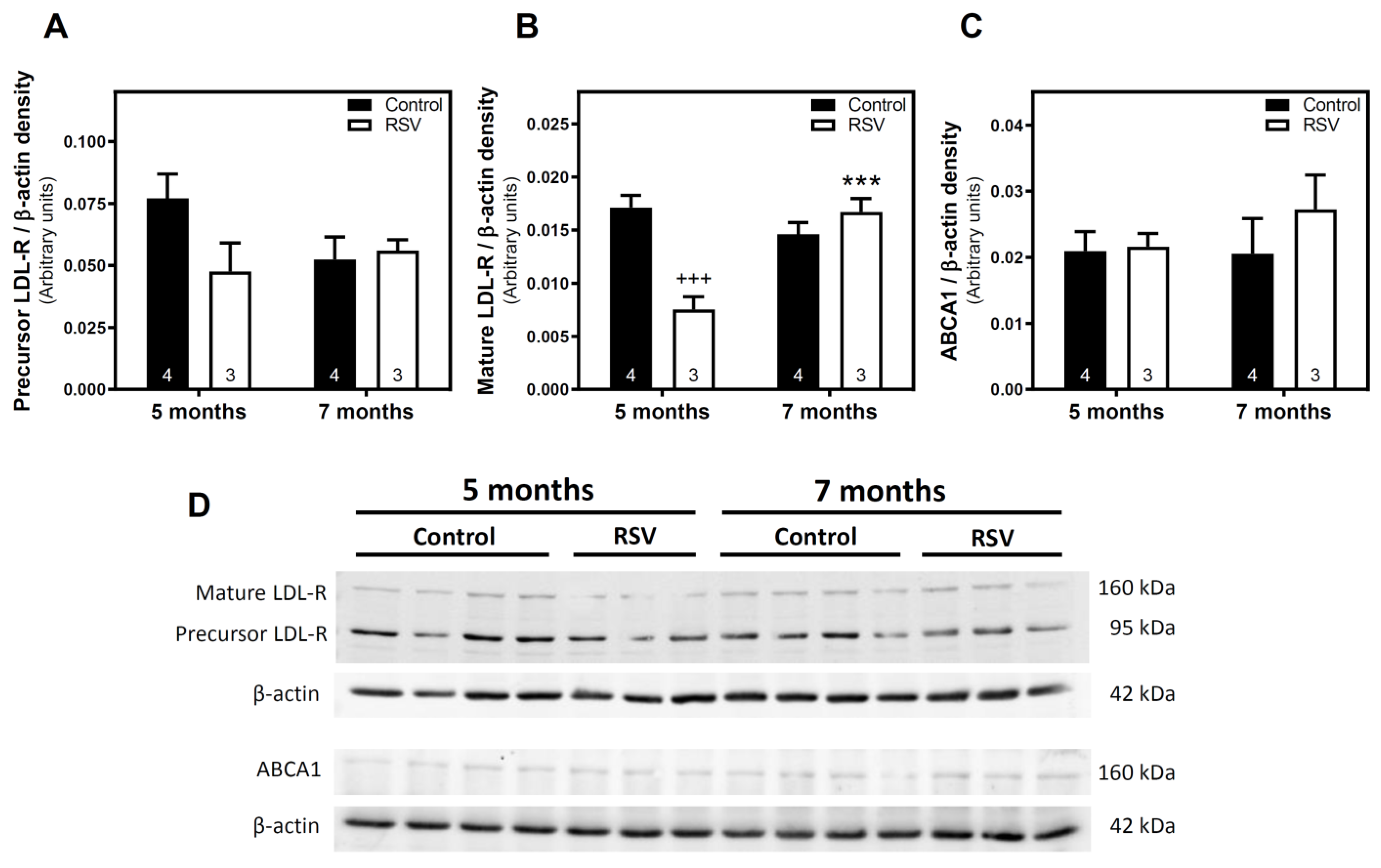 Ijms 23 07580 g002 550