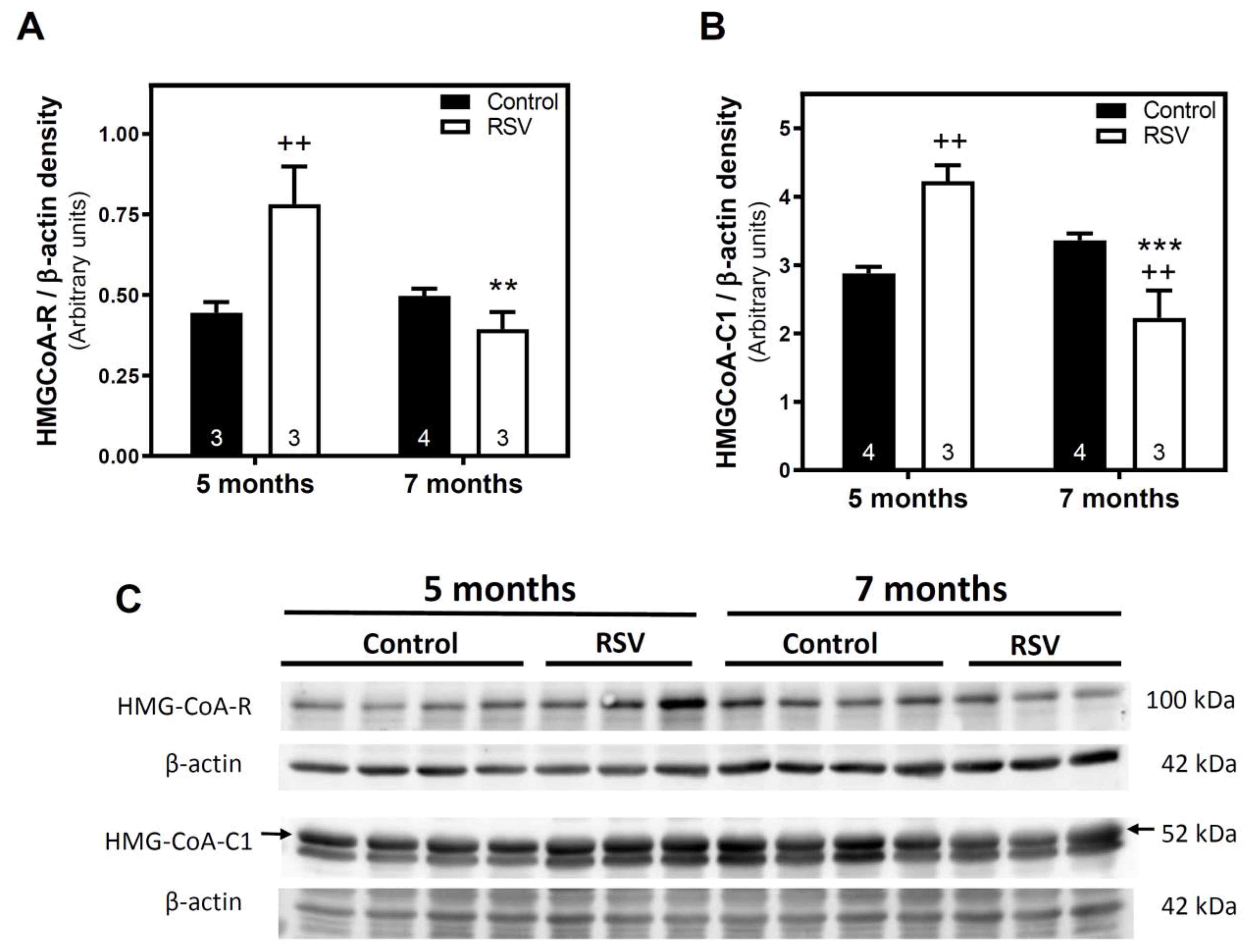 Ijms 23 07580 g004 550