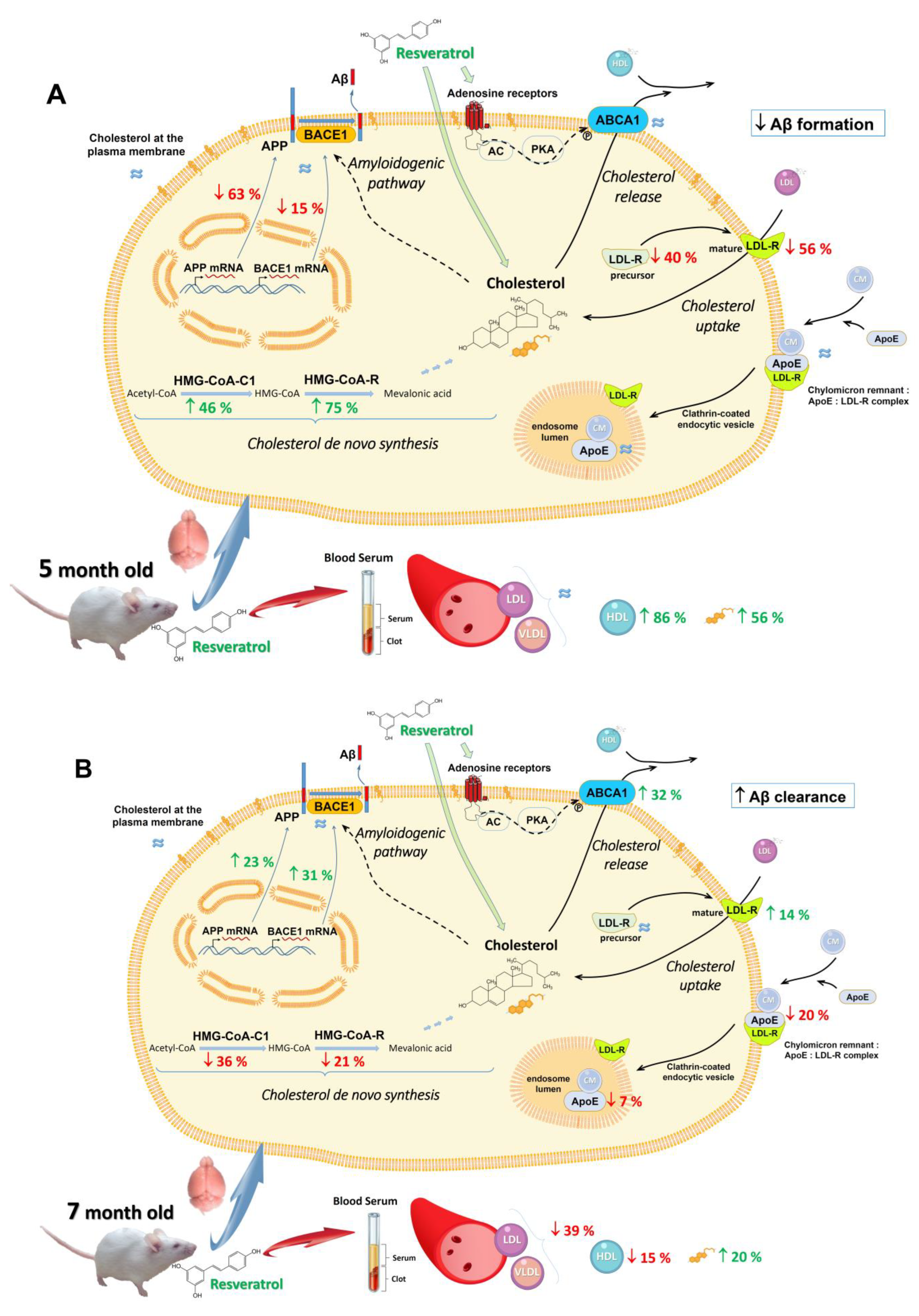 Ijms 23 07580 sch001 550