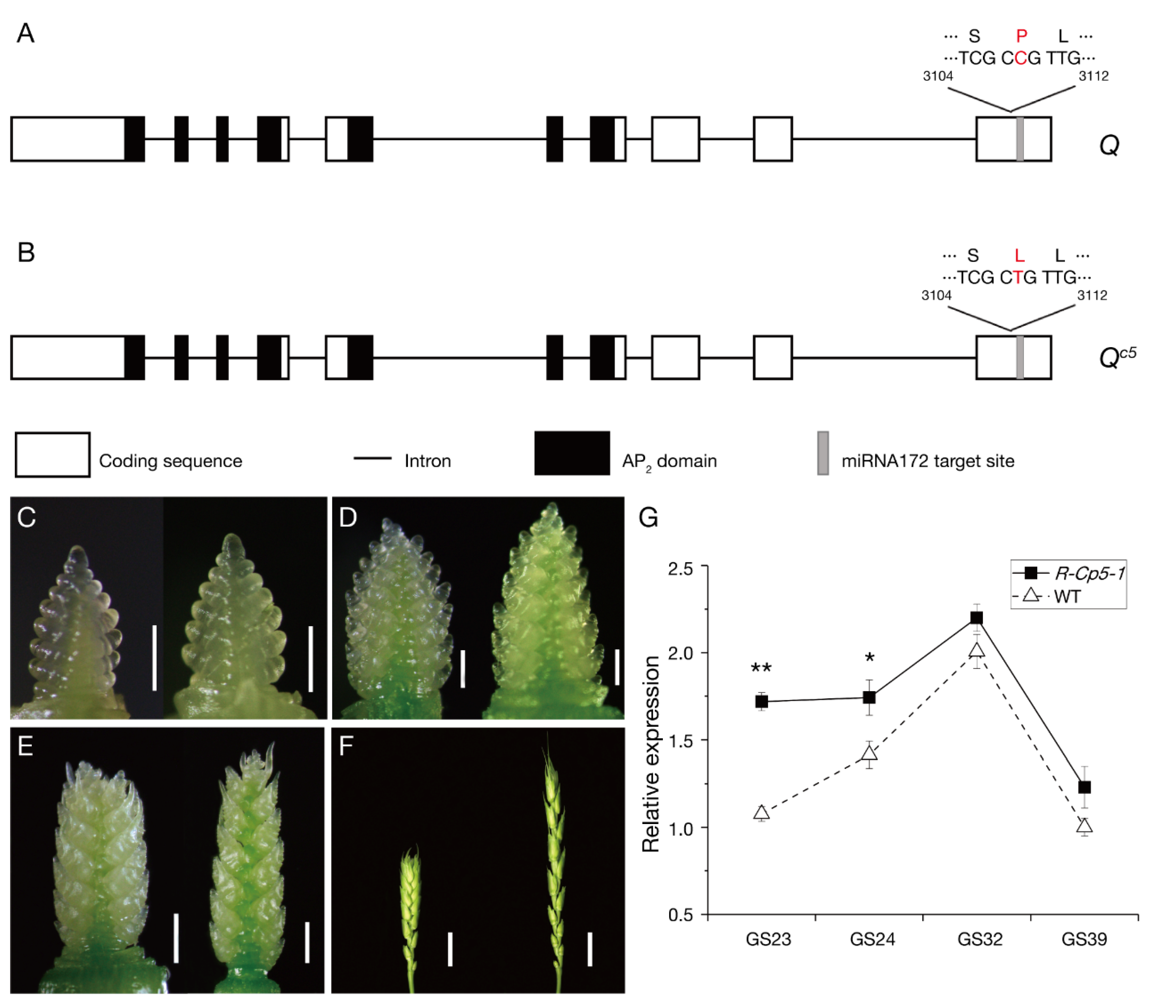 Ijms 23 07581 g002 550