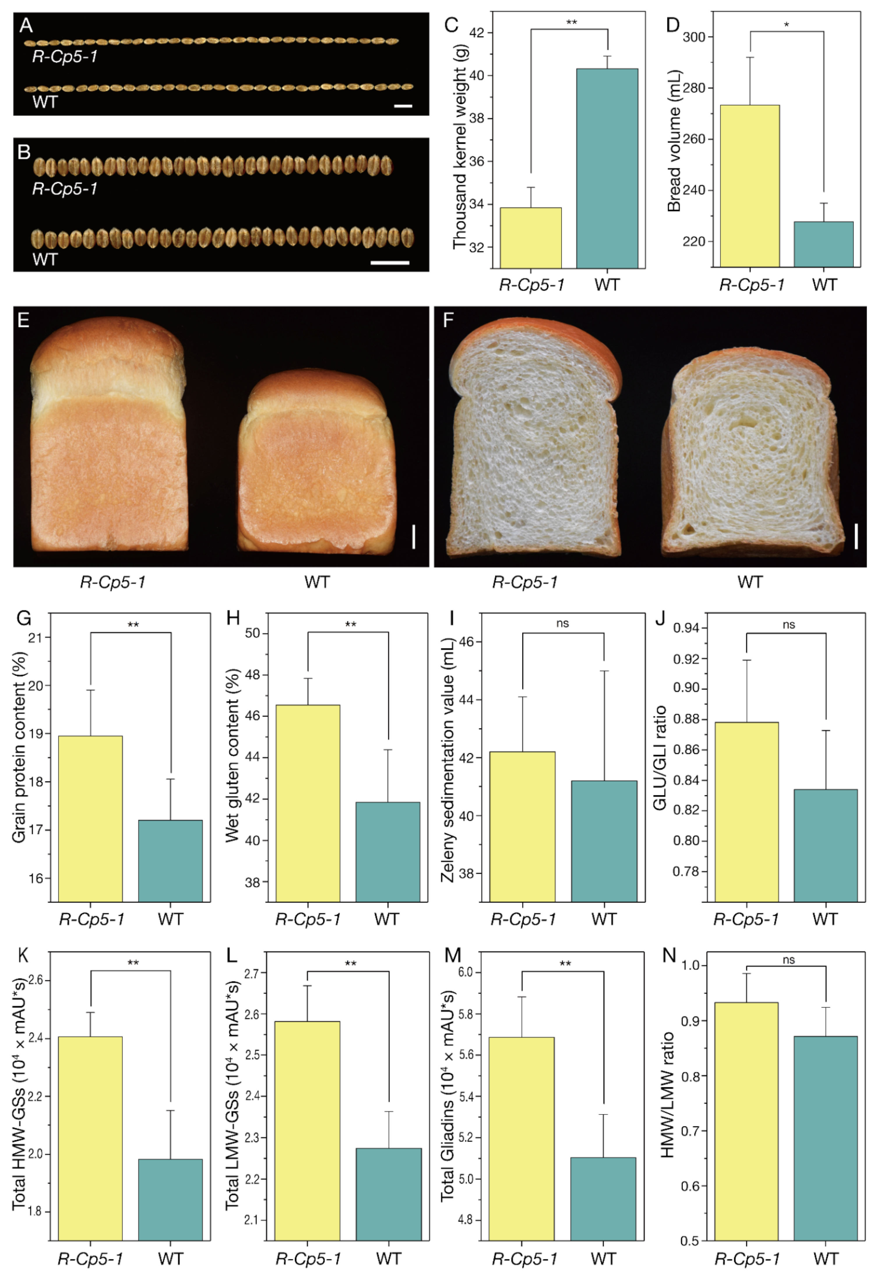 Ijms 23 07581 g003 550