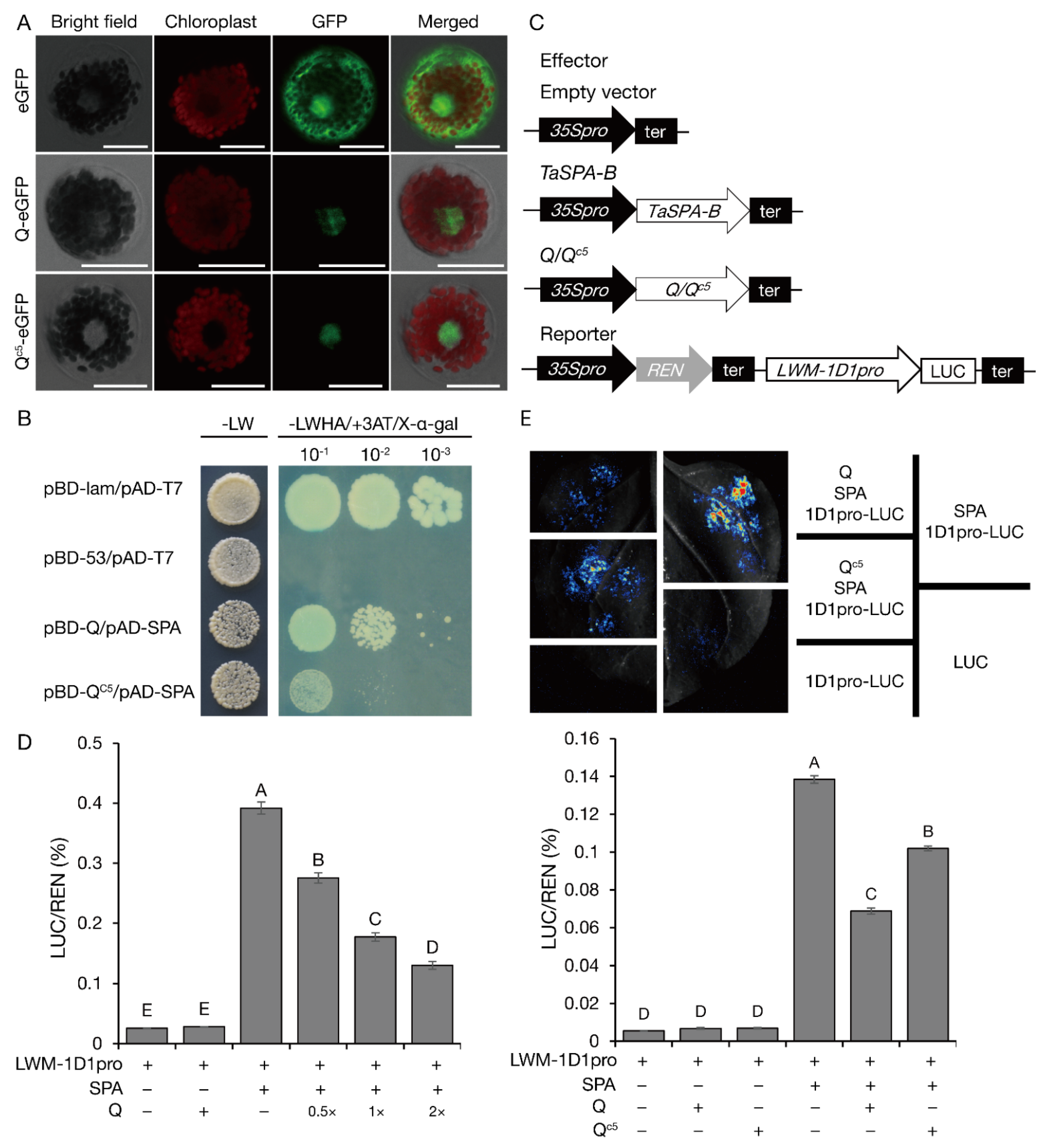 Ijms 23 07581 g004 550