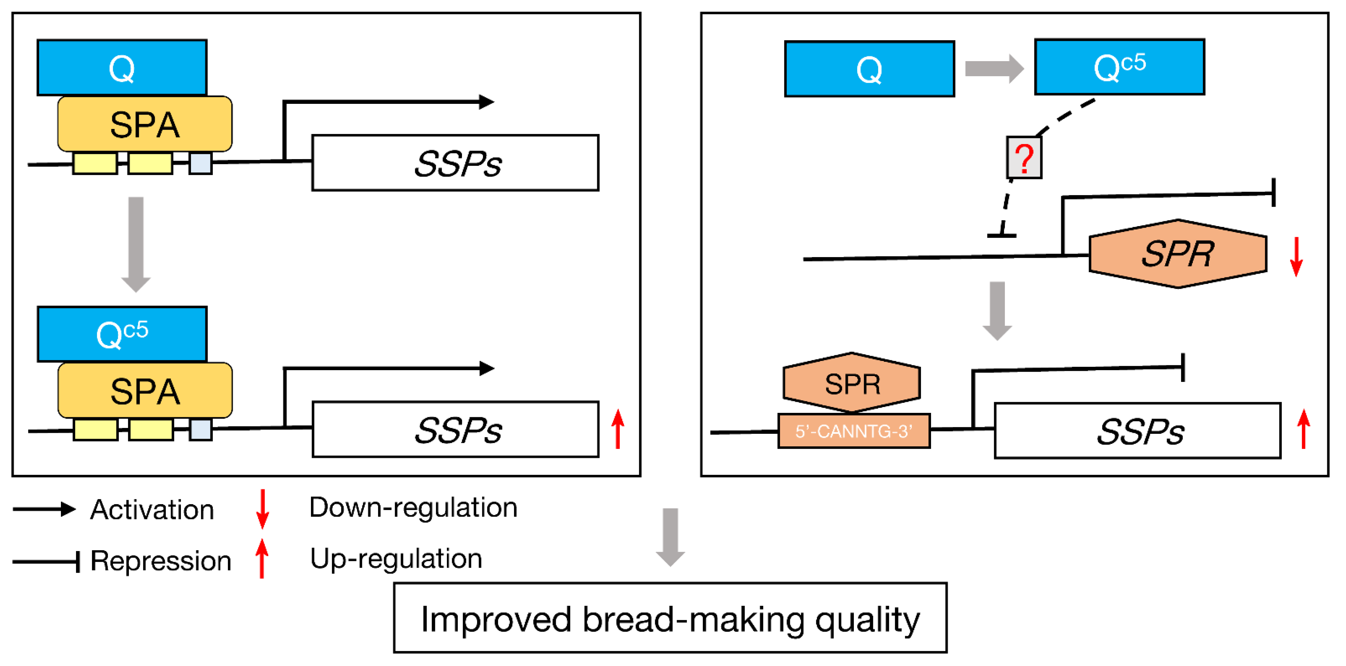 Ijms 23 07581 g006 550