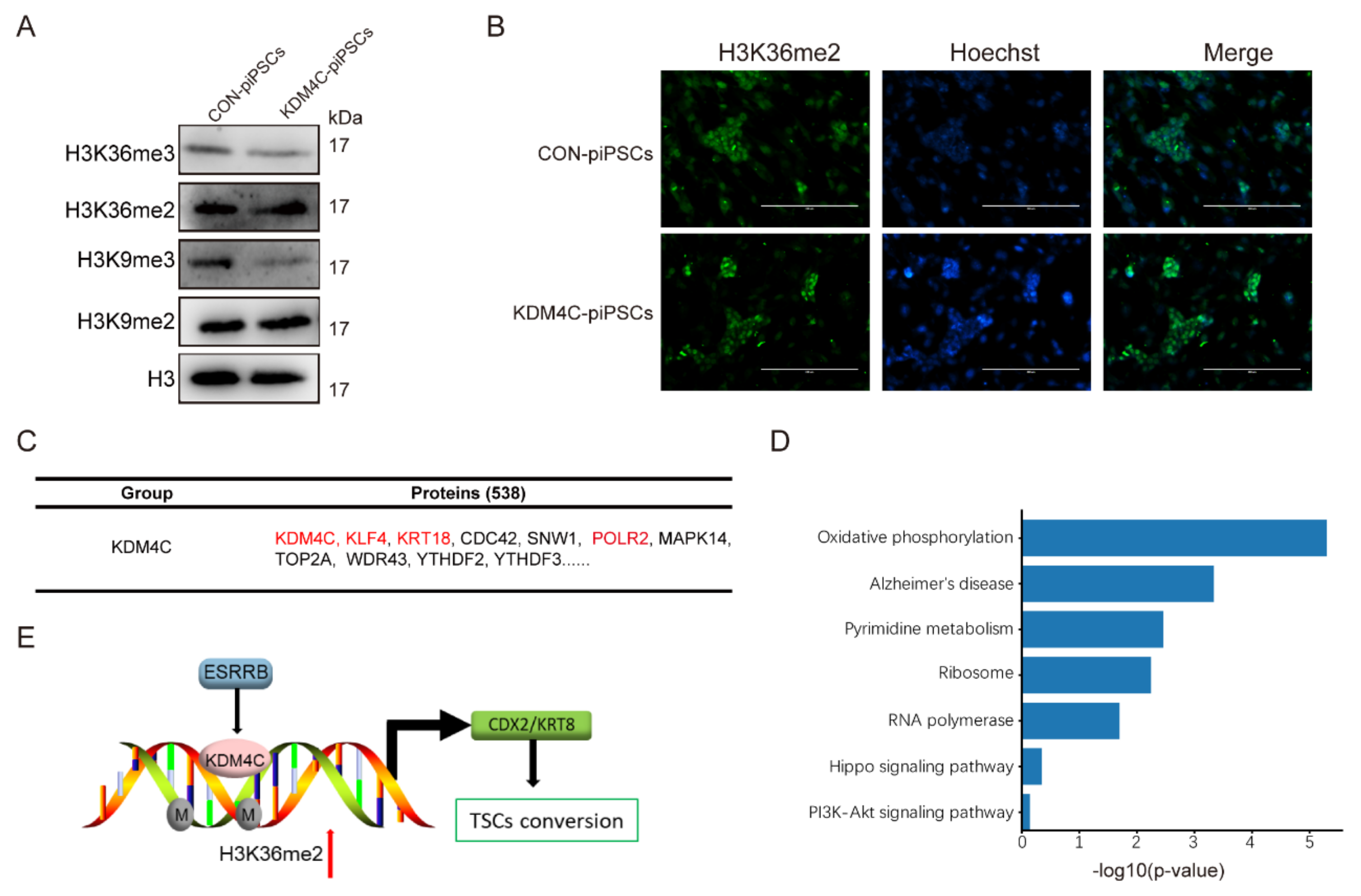Ijms 23 07586 g005 550