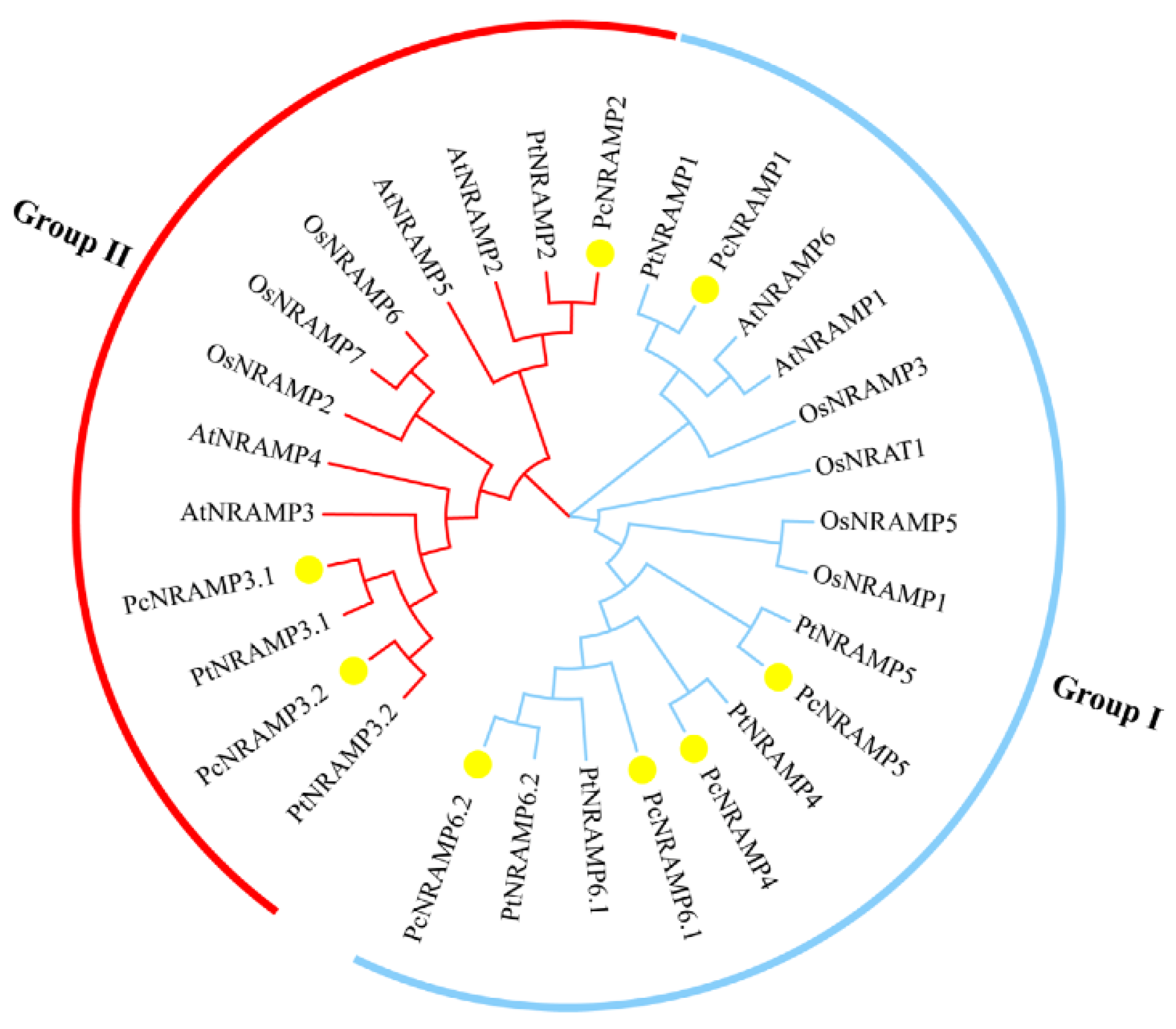 Ijms 23 07593 g001 550