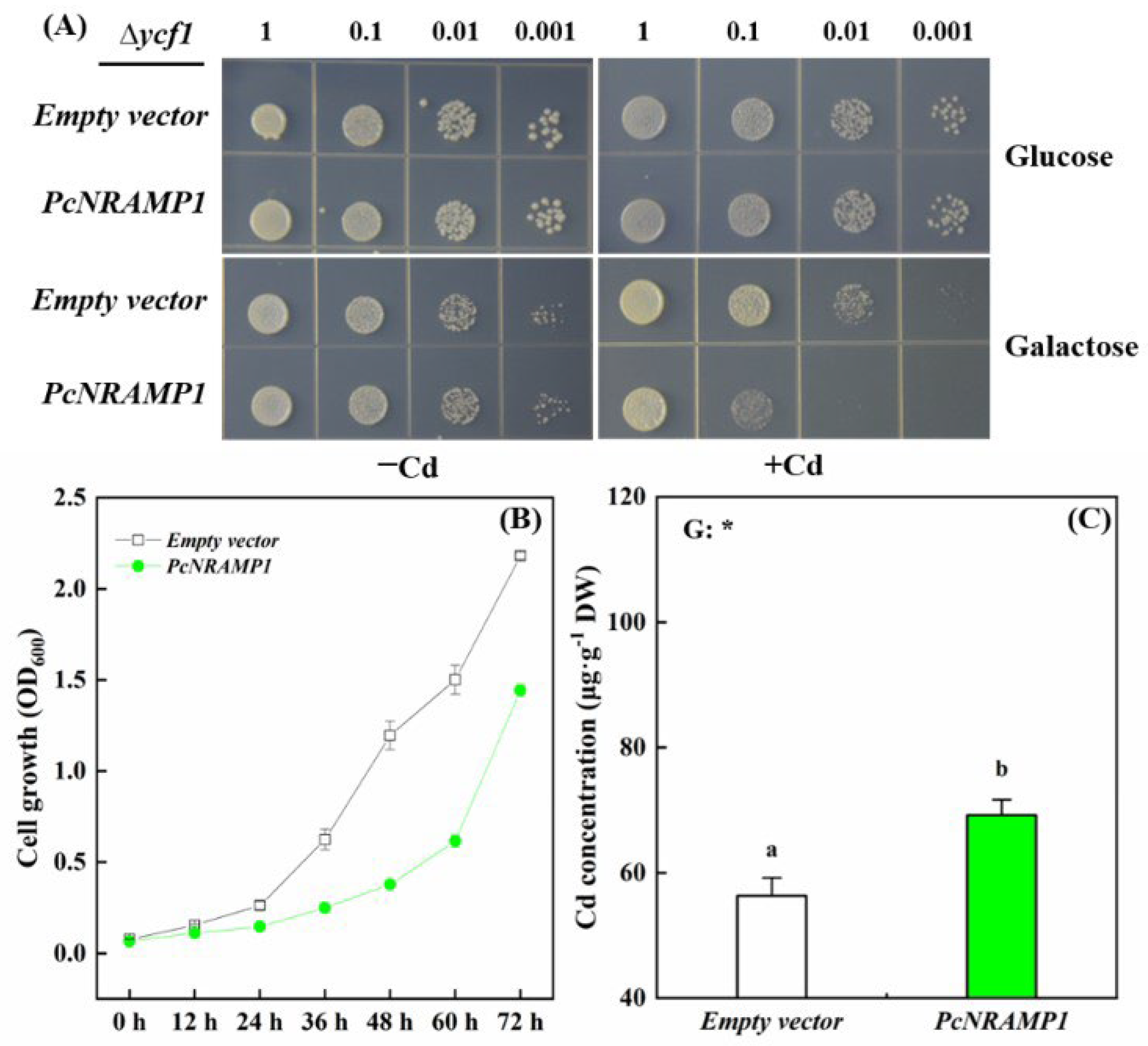 Ijms 23 07593 g004 550