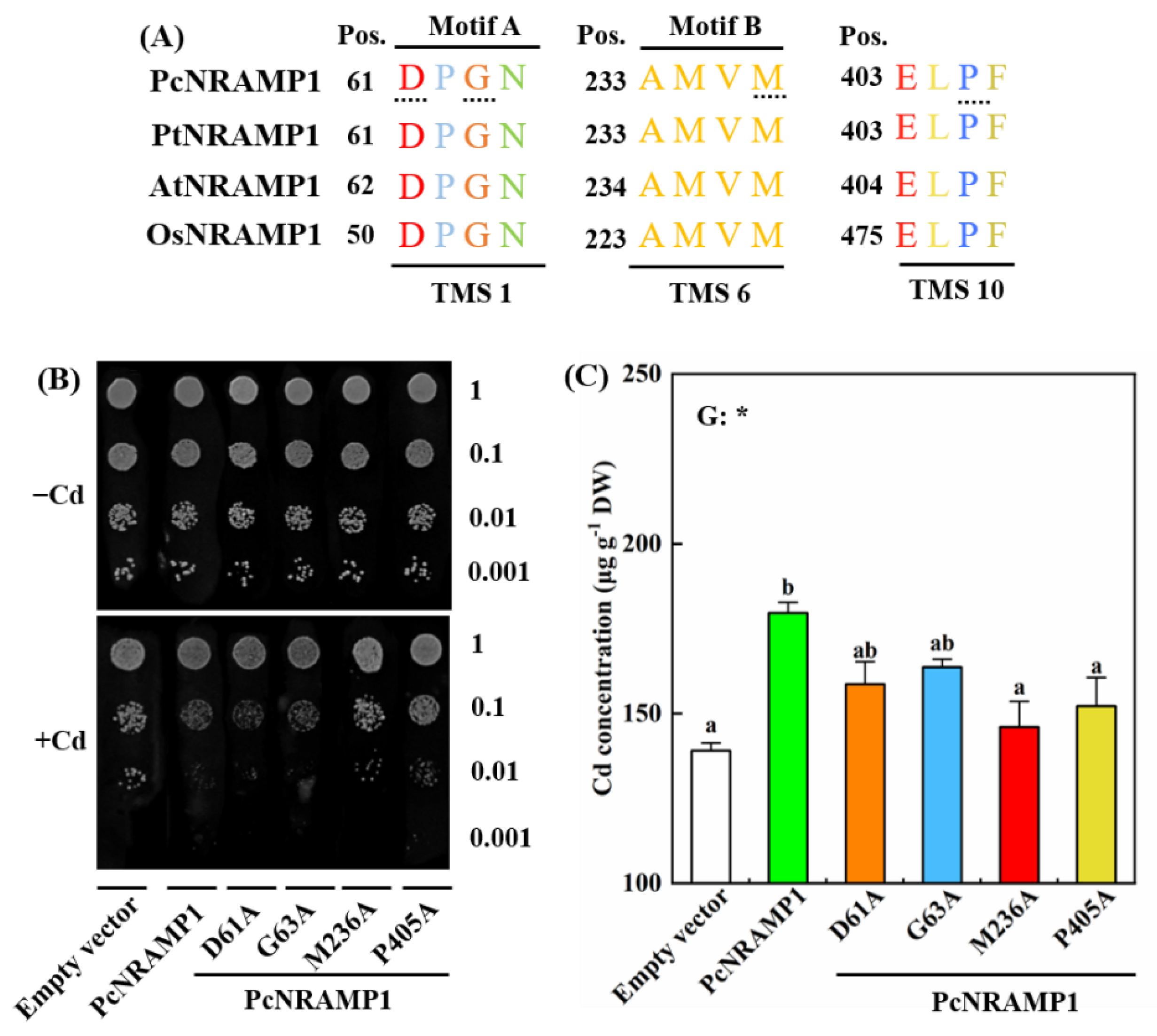 Ijms 23 07593 g007 550