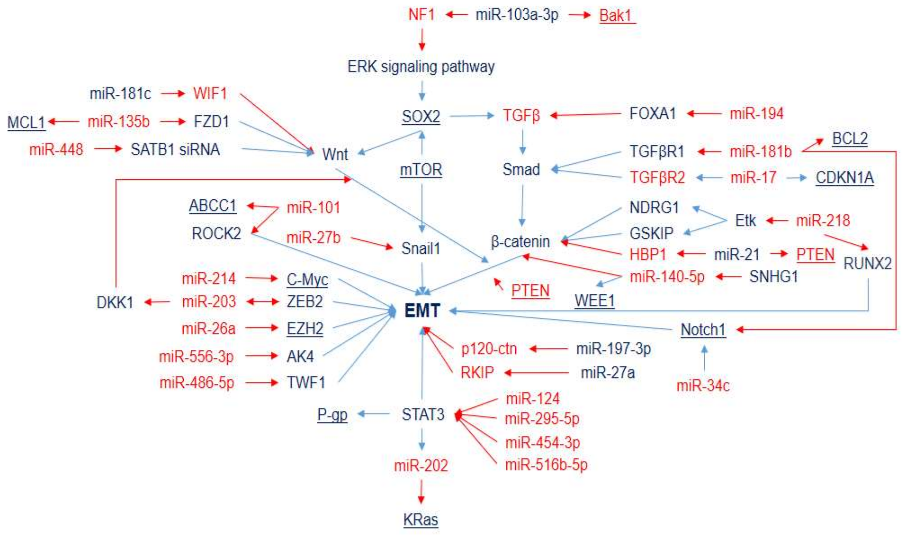 Ijms 23 07594 g002 Ijms 23 07594 g002