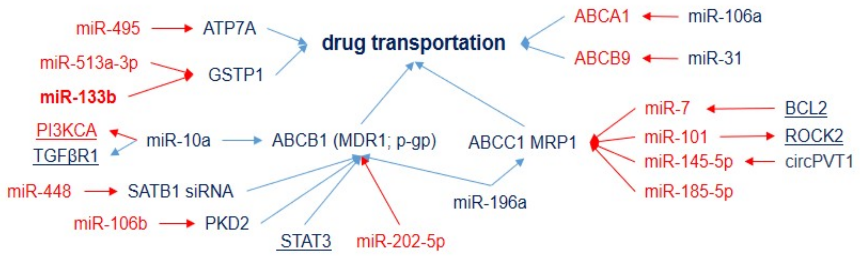 Ijms 23 07594 g003 Ijms 23 07594 g003