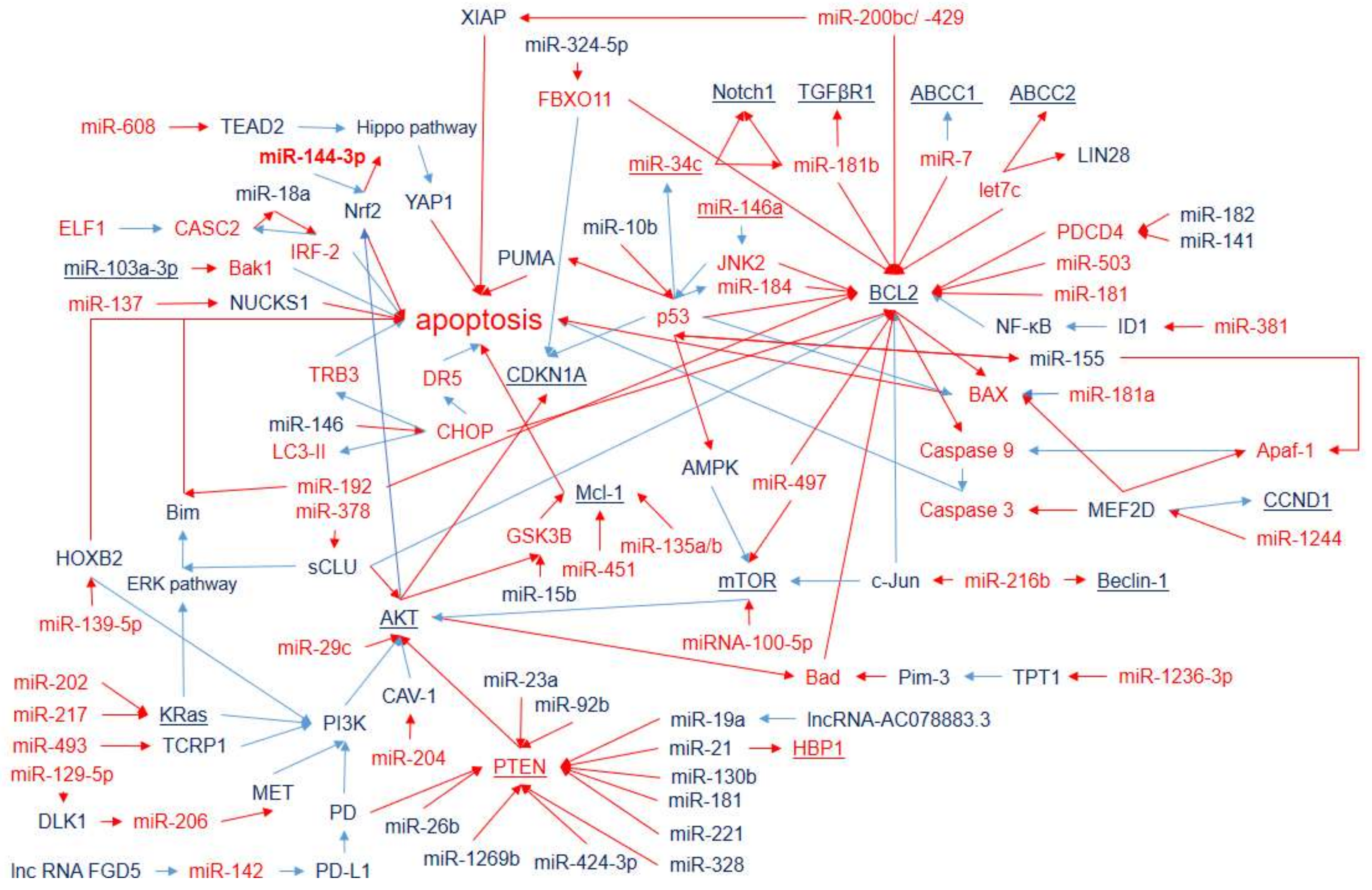 Ijms 23 07594 g005 Ijms 23 07594 g005