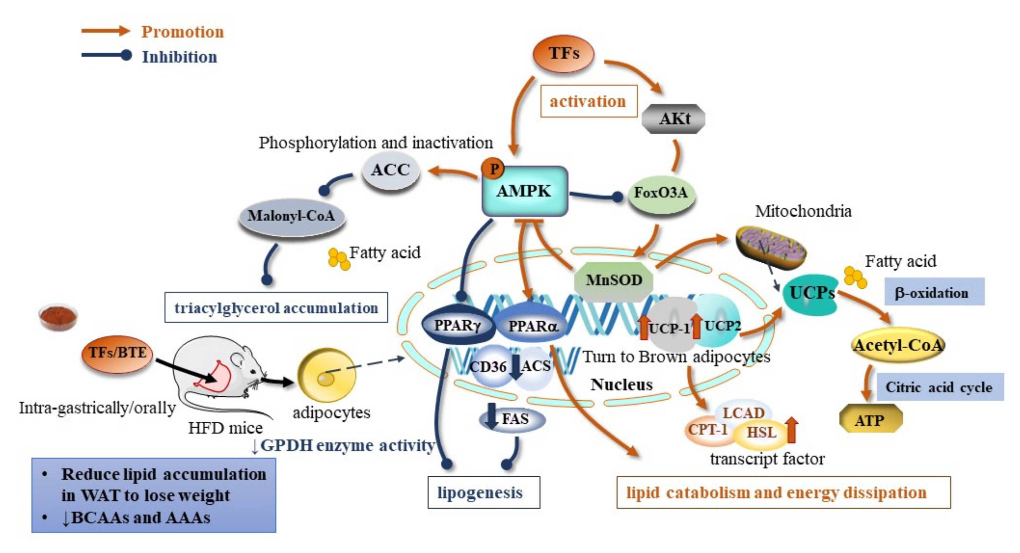 Ijms 23 07595 g002 550
