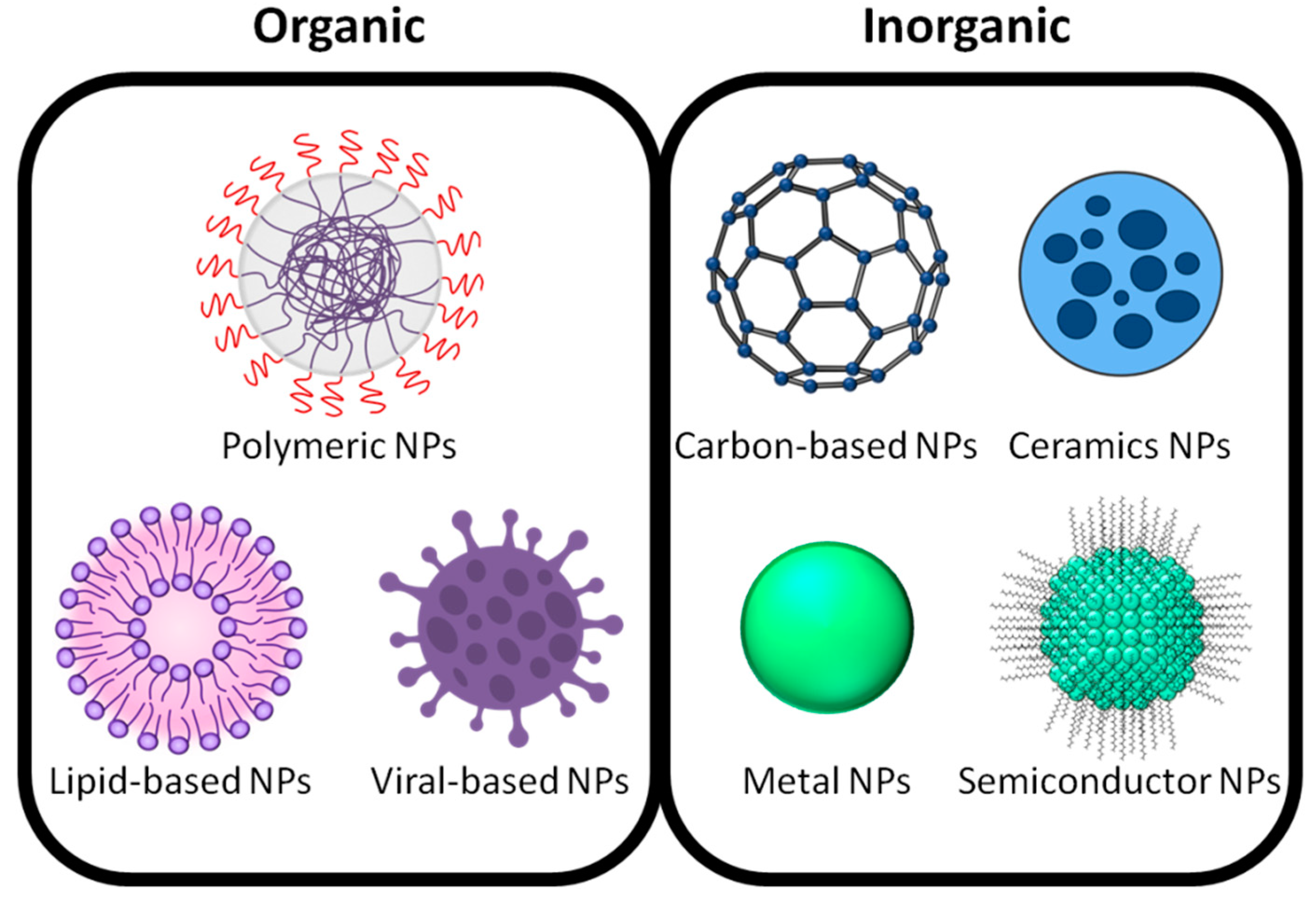 Ijms 23 07597 g001 550