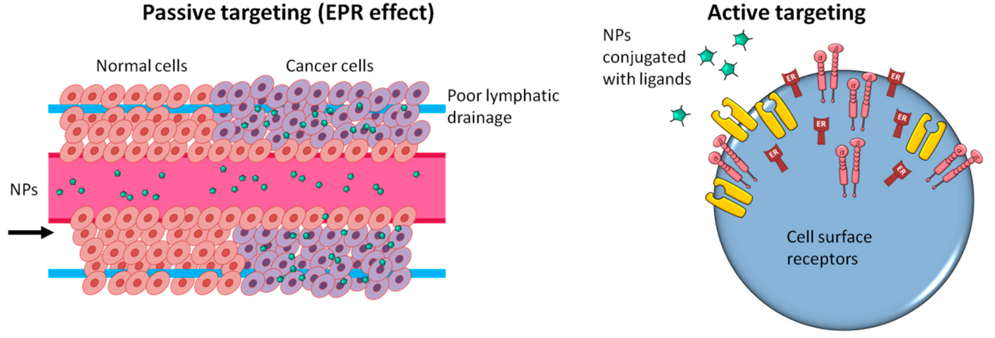 Ijms 23 07597 g002 550