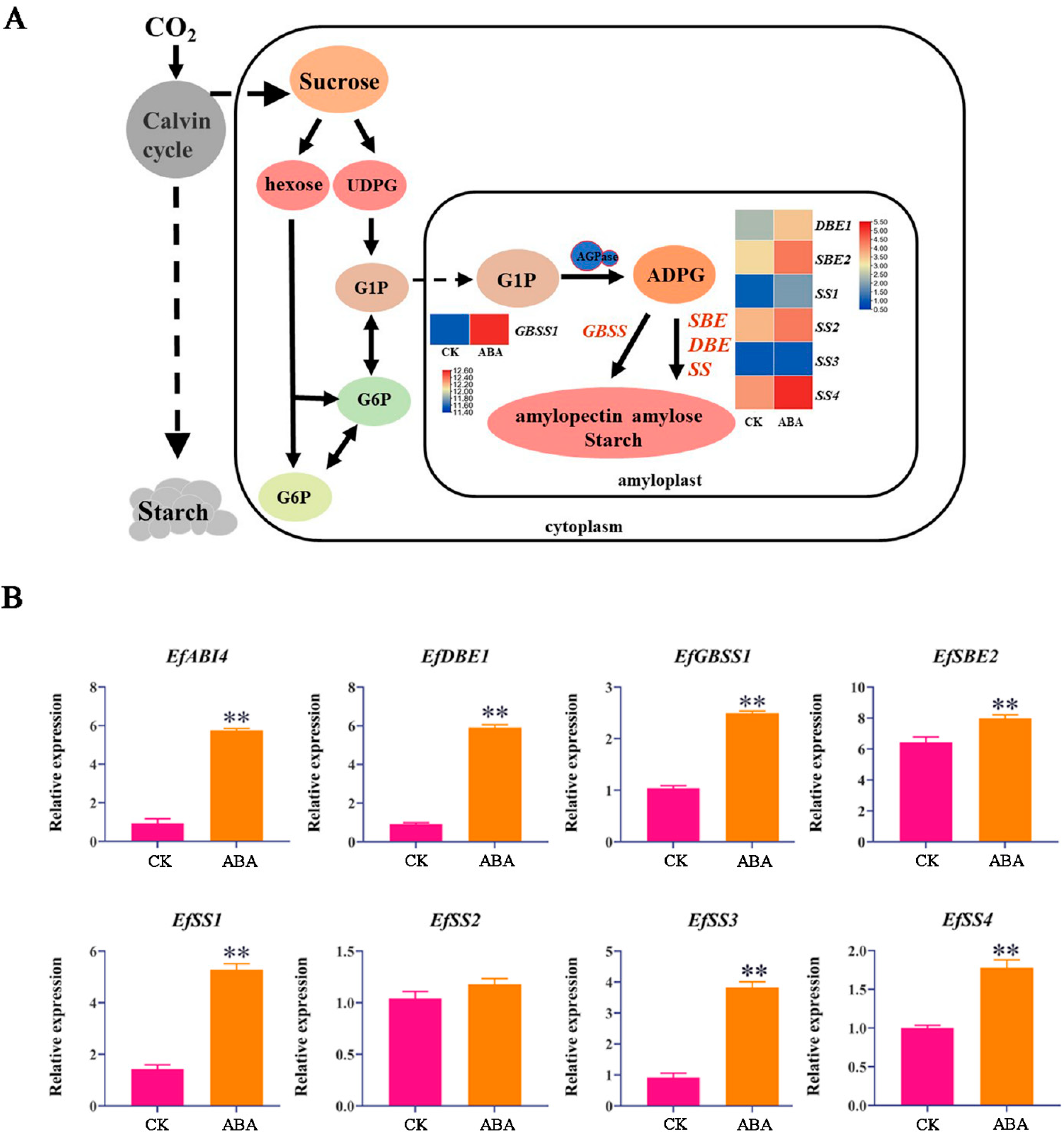 Ijms 23 07598 g002 550