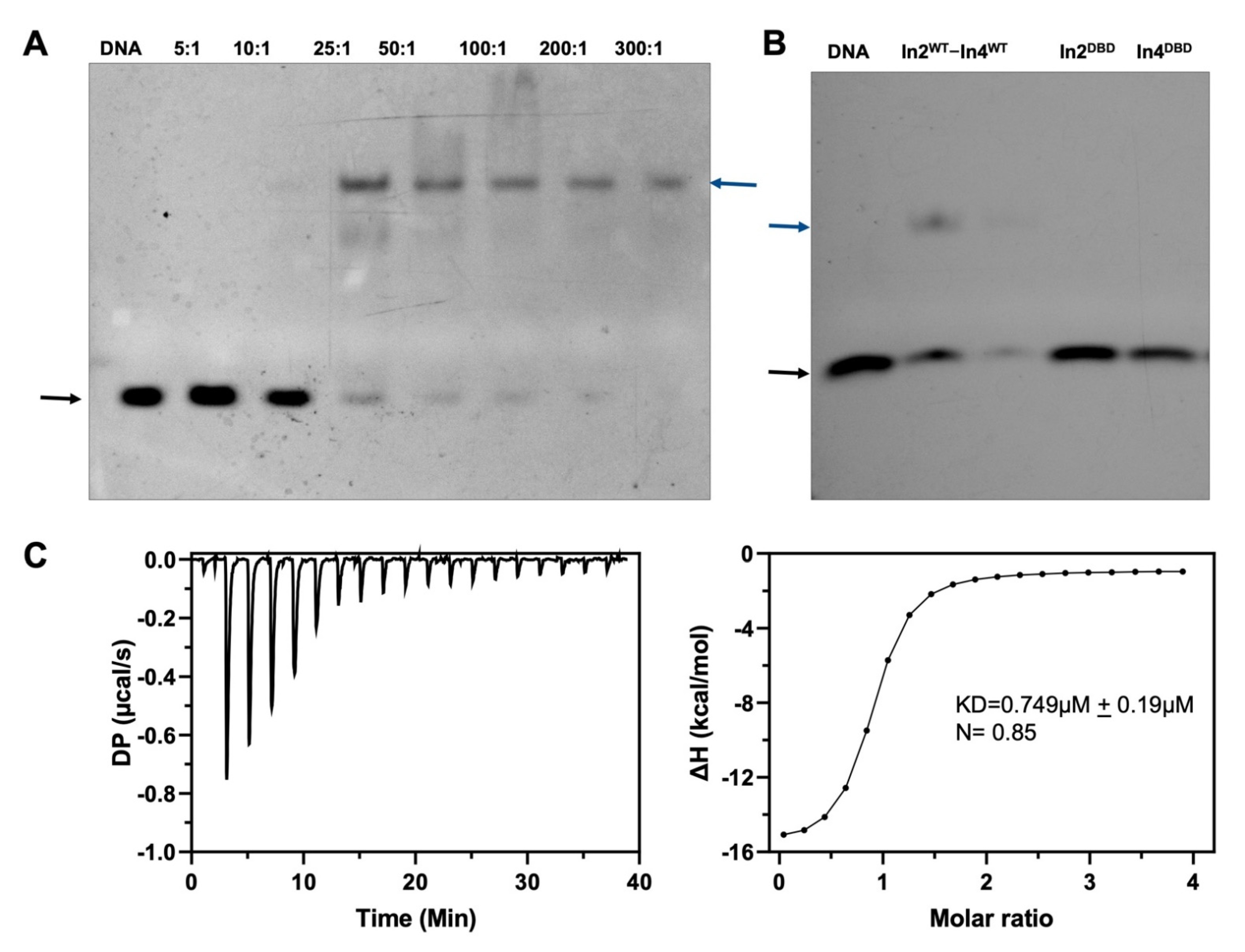 Ijms 23 07600 g001 Ijms 23 07600 g001