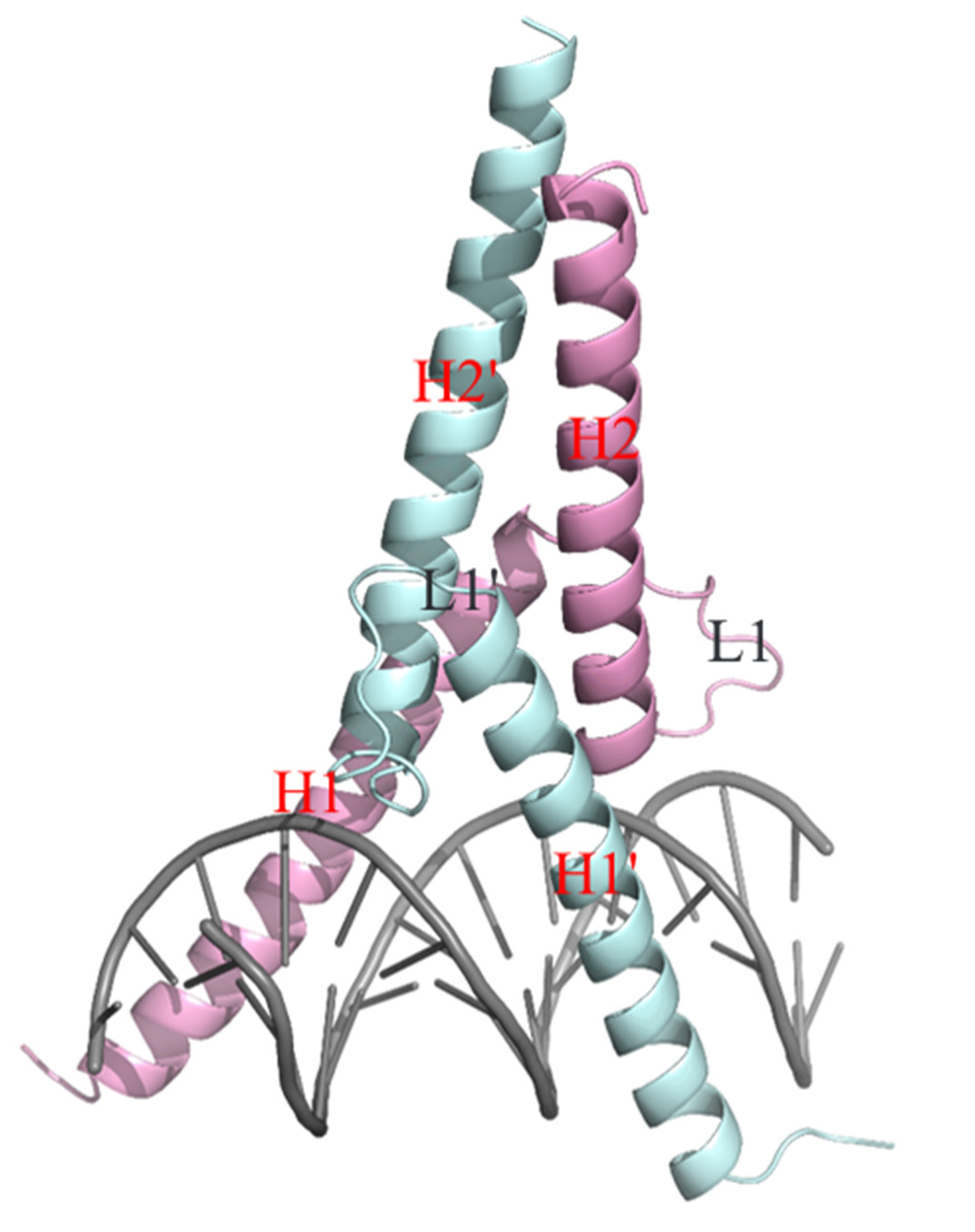 Ijms 23 07600 g002 Ijms 23 07600 g002