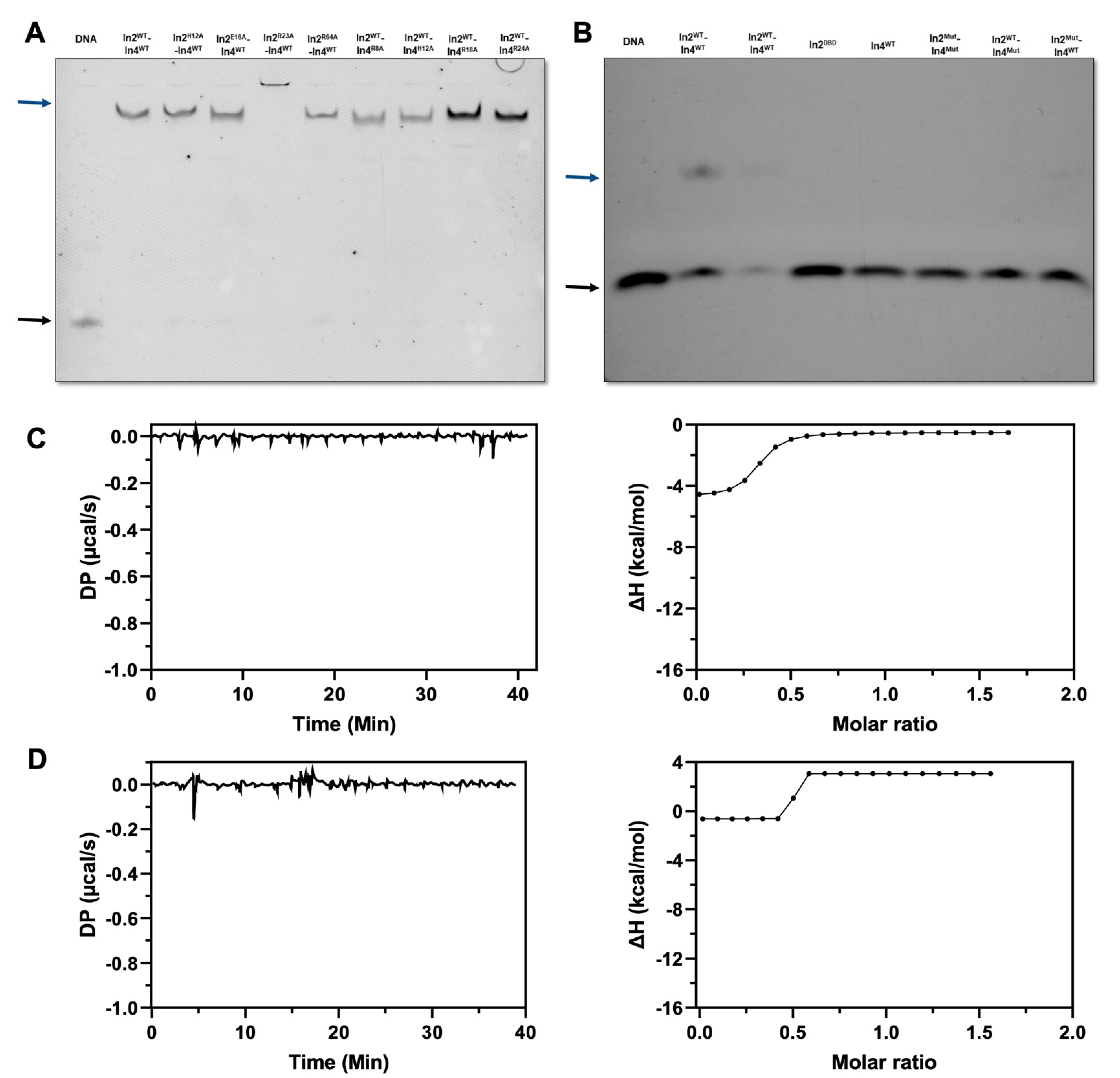 Ijms 23 07600 g004 Ijms 23 07600 g004