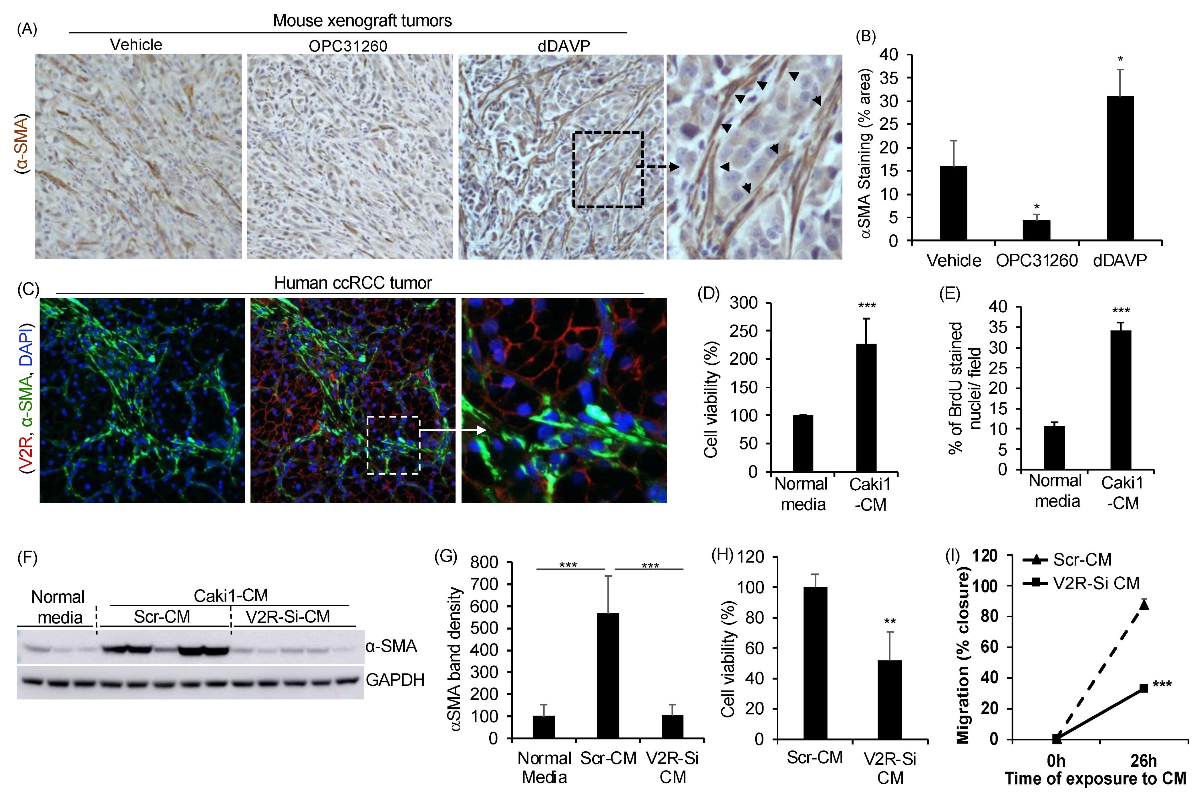 Ijms 23 07601 g001 Ijms 23 07601 g001