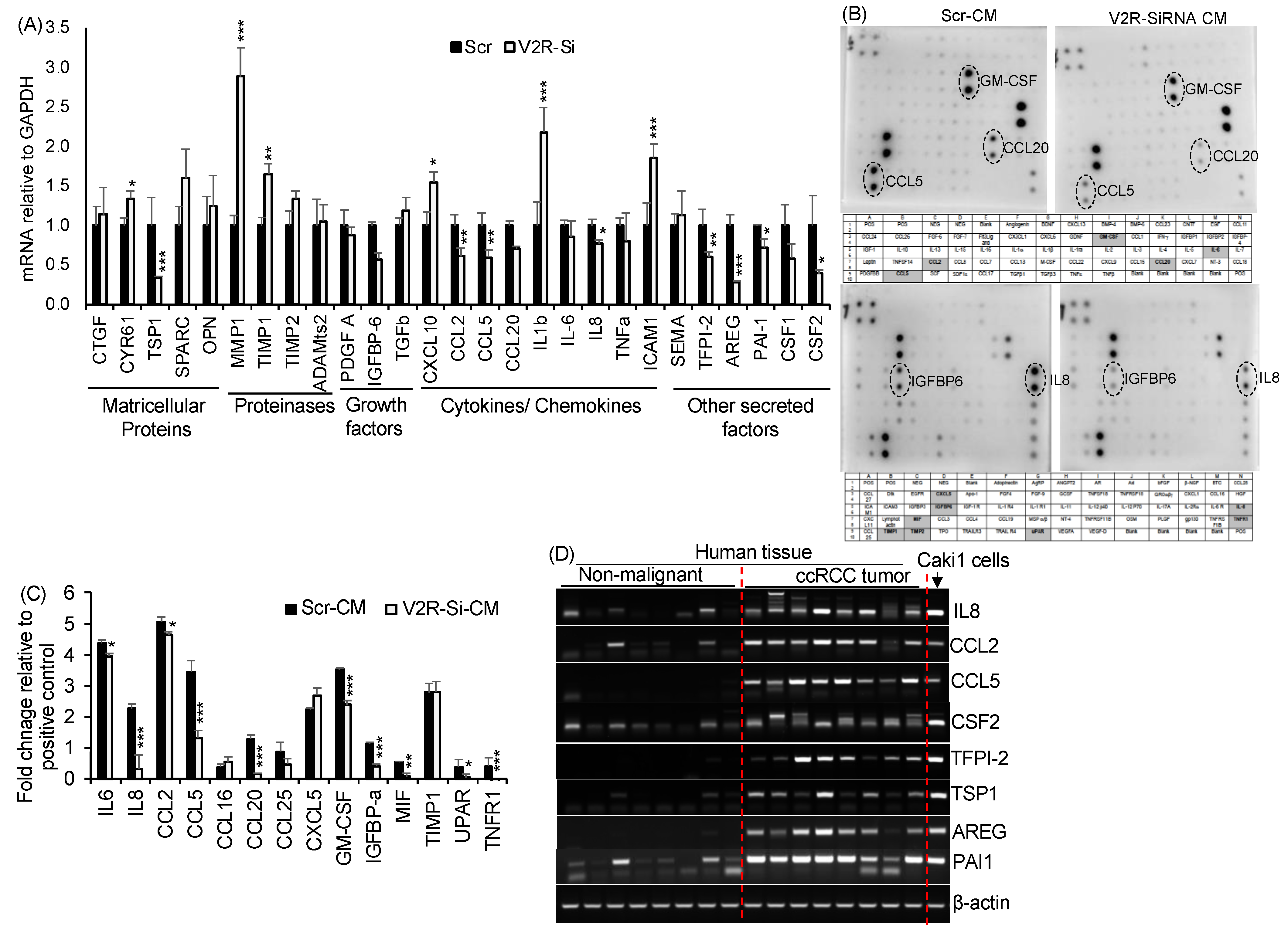 Ijms 23 07601 g002 Ijms 23 07601 g002