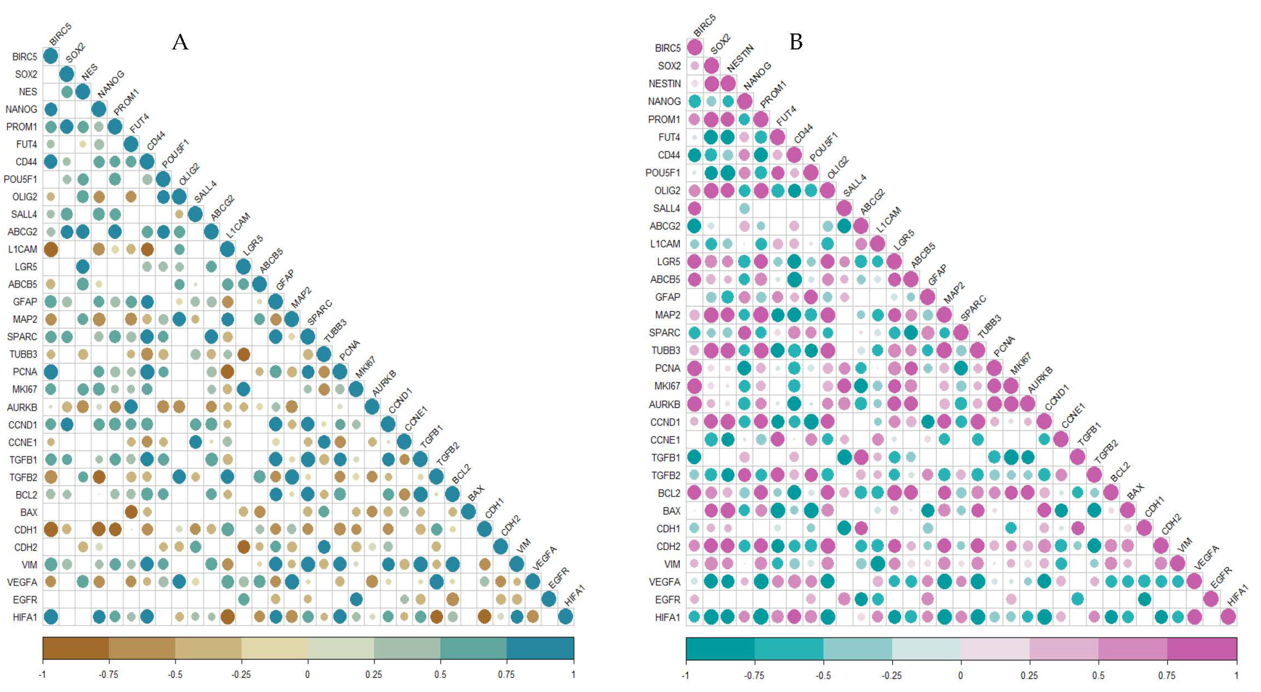 Ijms 23 07604 g004 Ijms 23 07604 g004