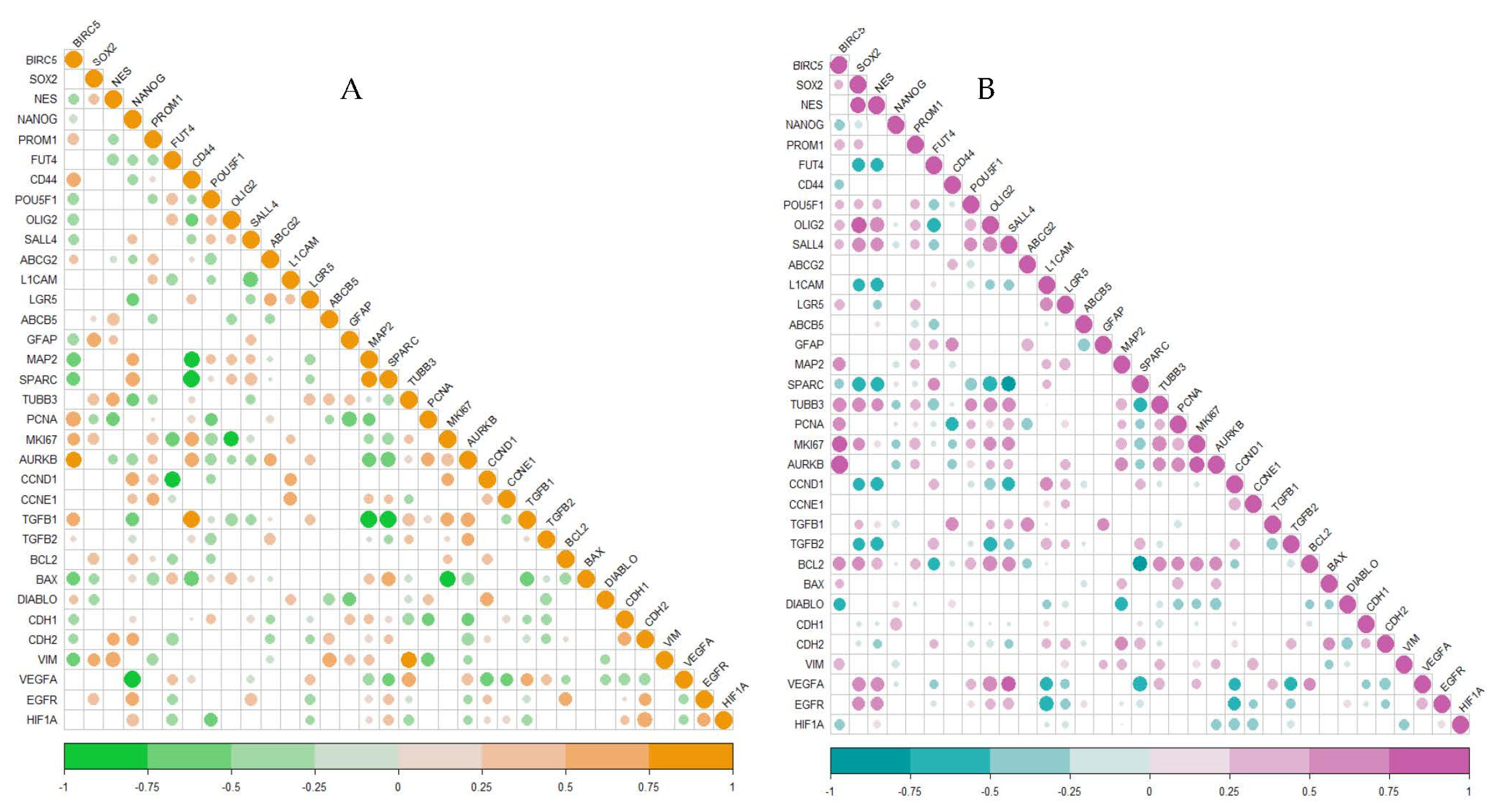 Ijms 23 07604 g005 Ijms 23 07604 g005