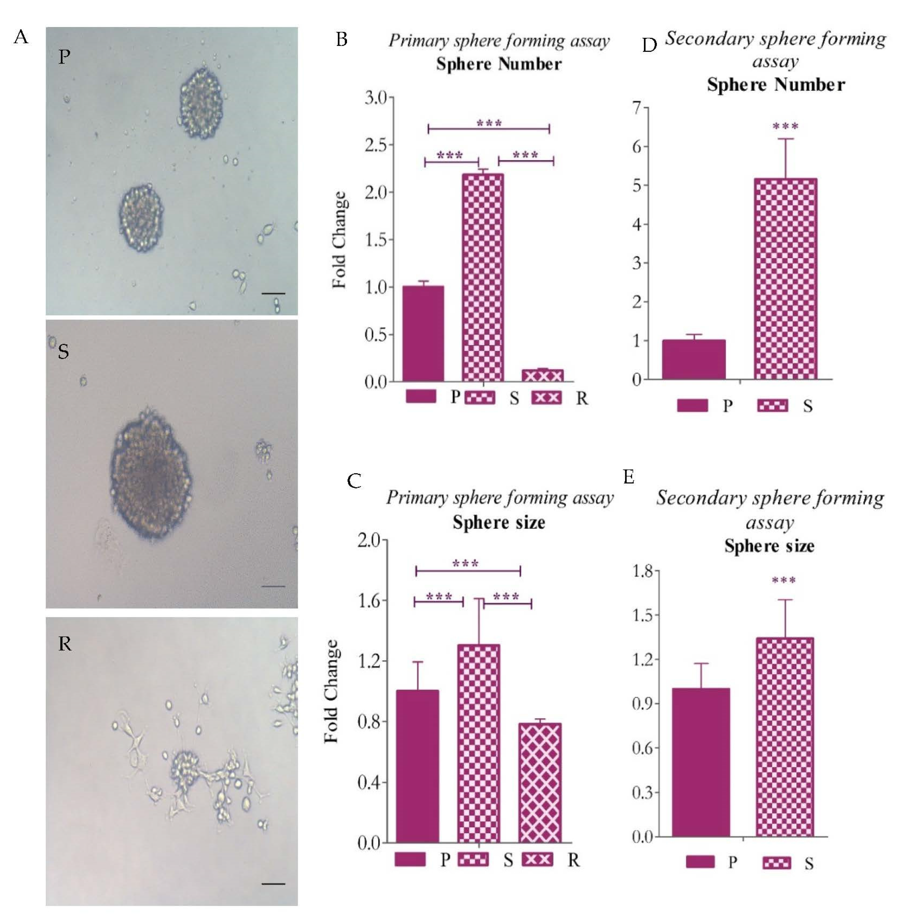 Ijms 23 07604 g006 Ijms 23 07604 g006