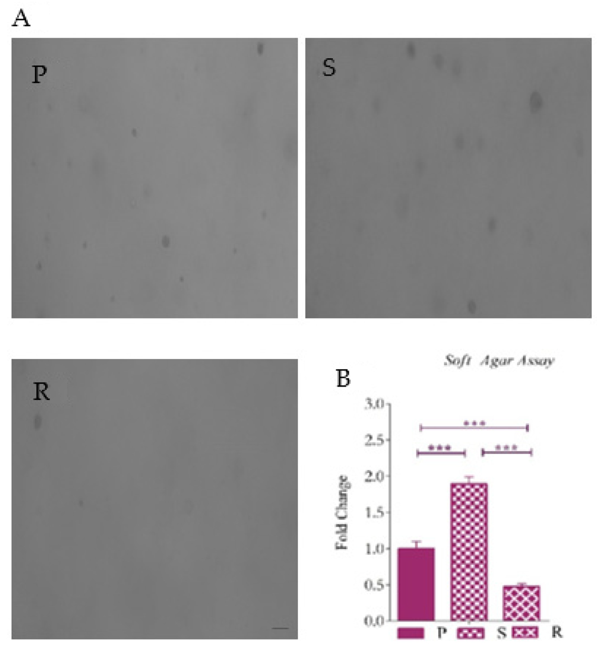 Ijms 23 07604 g007 Ijms 23 07604 g007