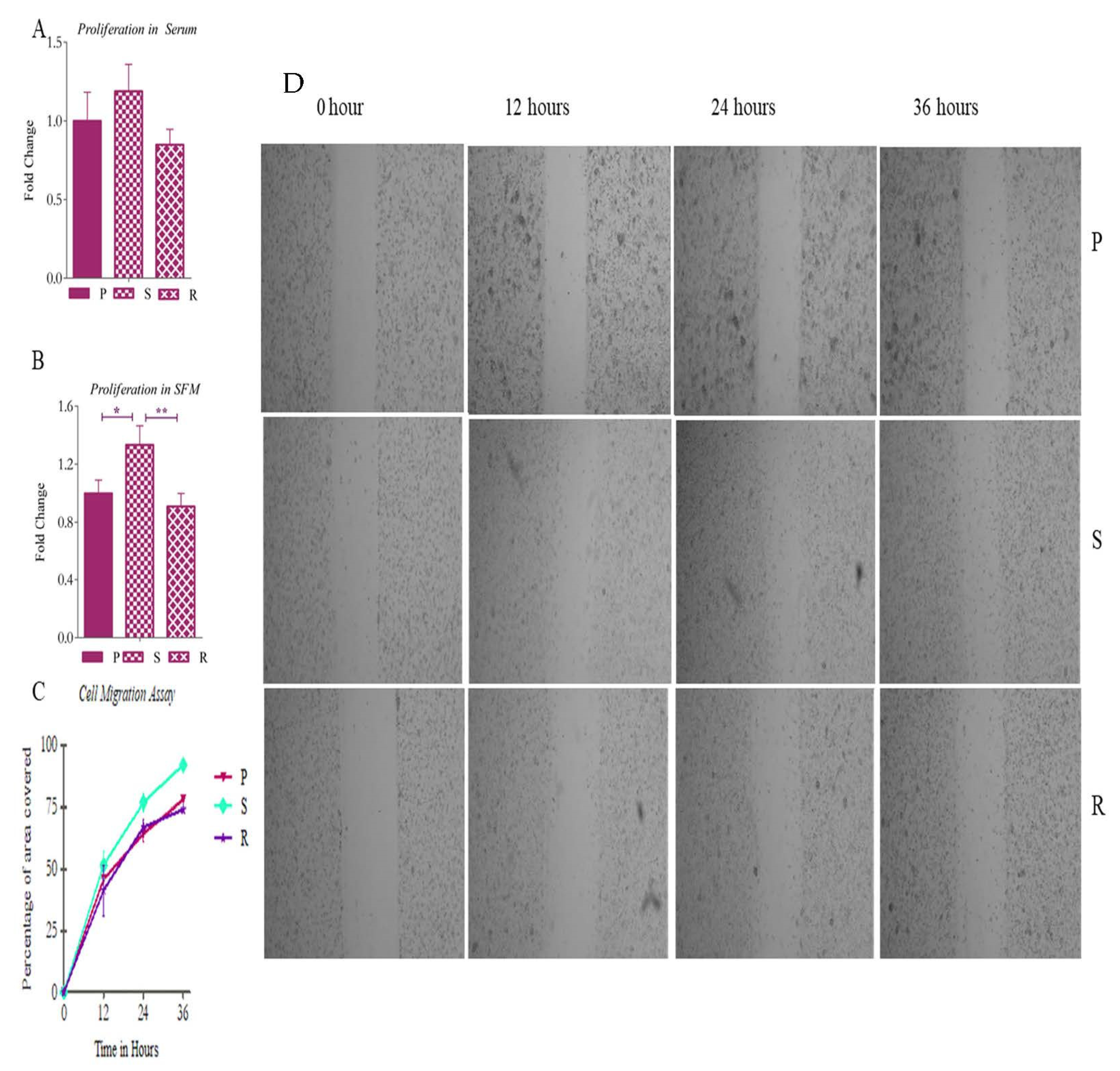 Ijms 23 07604 g008 Ijms 23 07604 g008