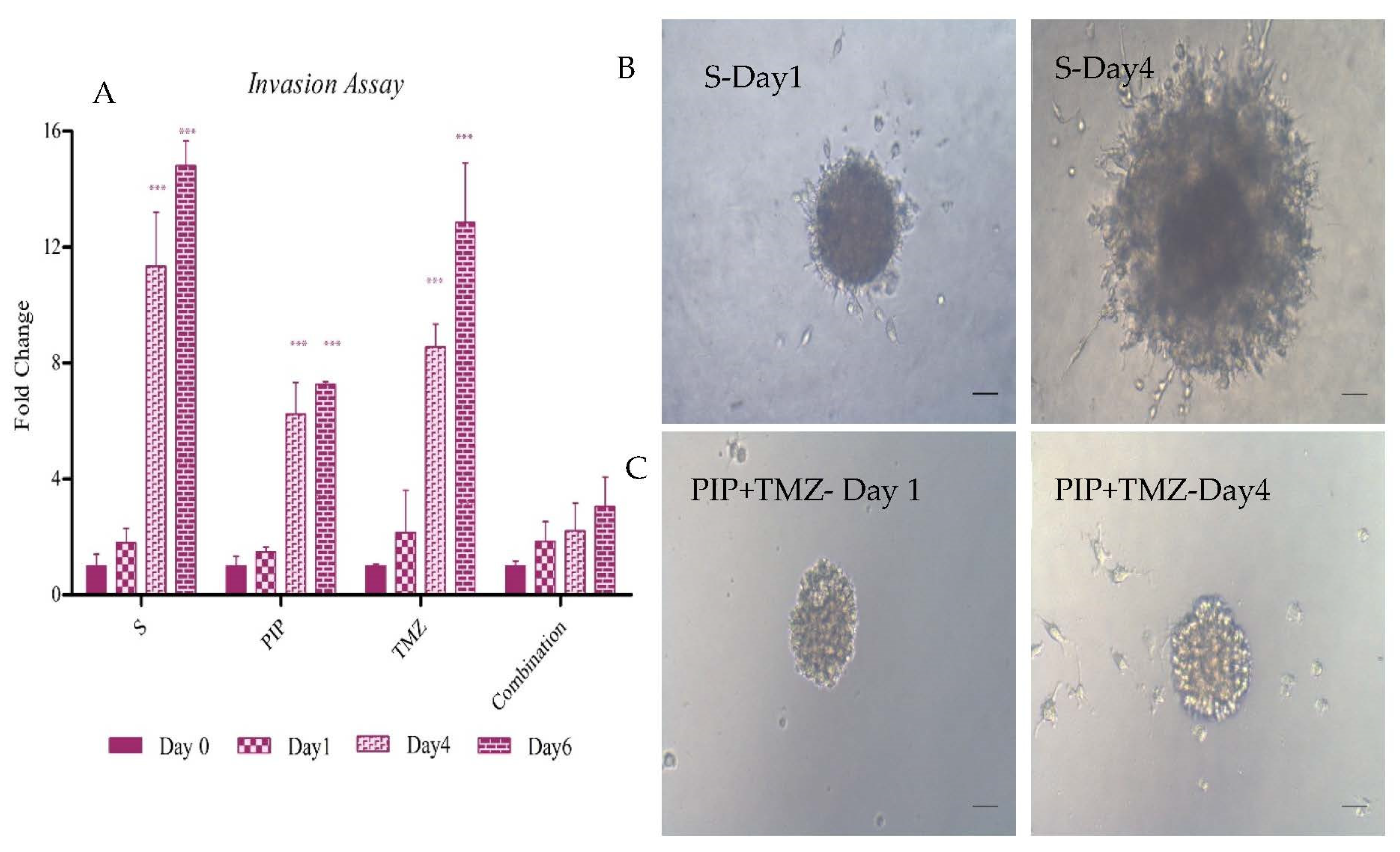 Ijms 23 07604 g014 Ijms 23 07604 g014